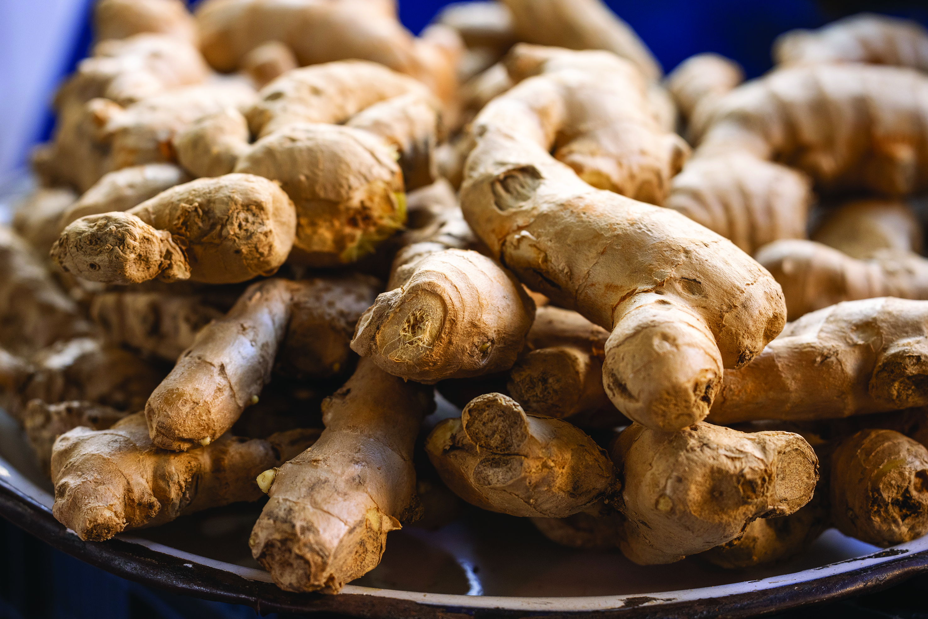 Industri Rempah Rizom di Malaysia - Agrimag