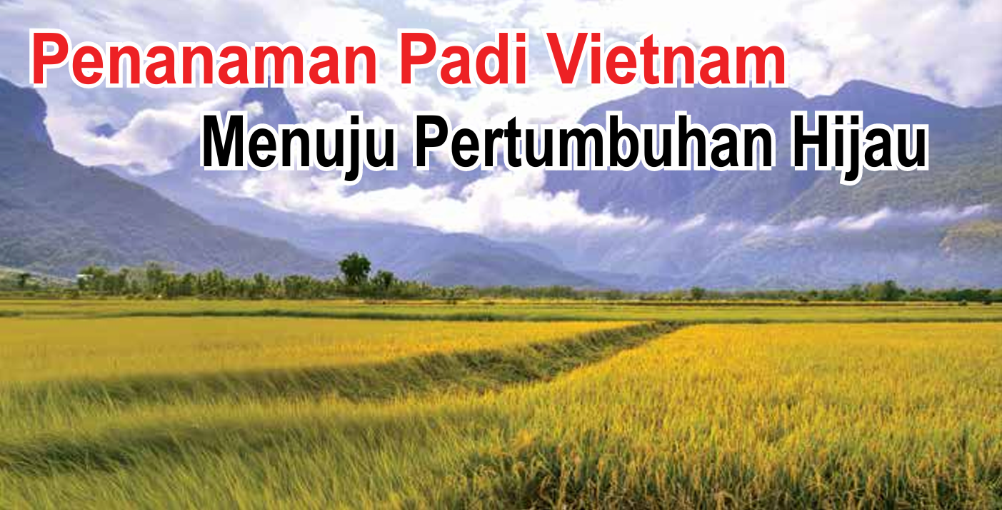 Penanaman Padi Vietnam Menuju Pertumbuhan Hijau - Agrimag