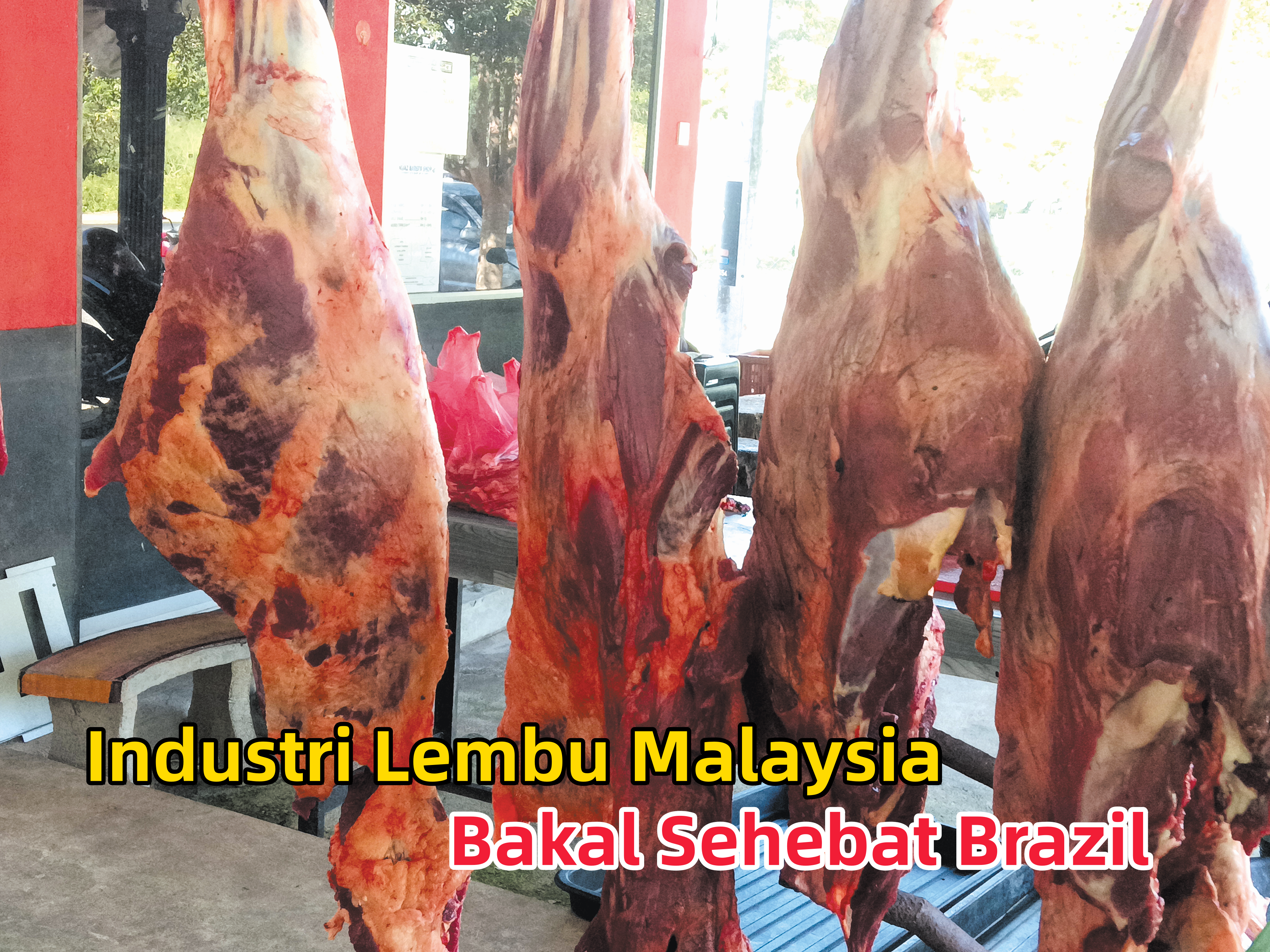 Industri Lembu Malaysia Bakal Sehebat Brazil - Agrimag