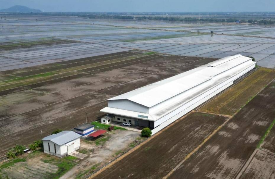 Kilang Padi Wakaf Ubah Ekosistem Industri Padi Kedah - Agrimag