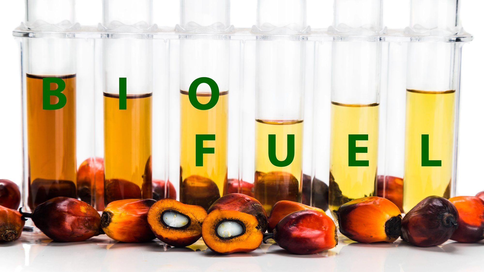 Indonesia Sasar B50 Menjelang 2026 - Agrimag