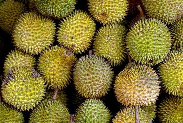 Jualan Pertama & Cabaran Pengusaha Durian China - Agrimag