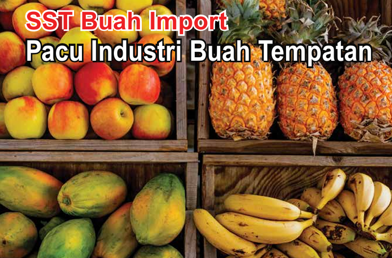 SST Buah Import Pacu Industri Buah Tempatan - Agrimag