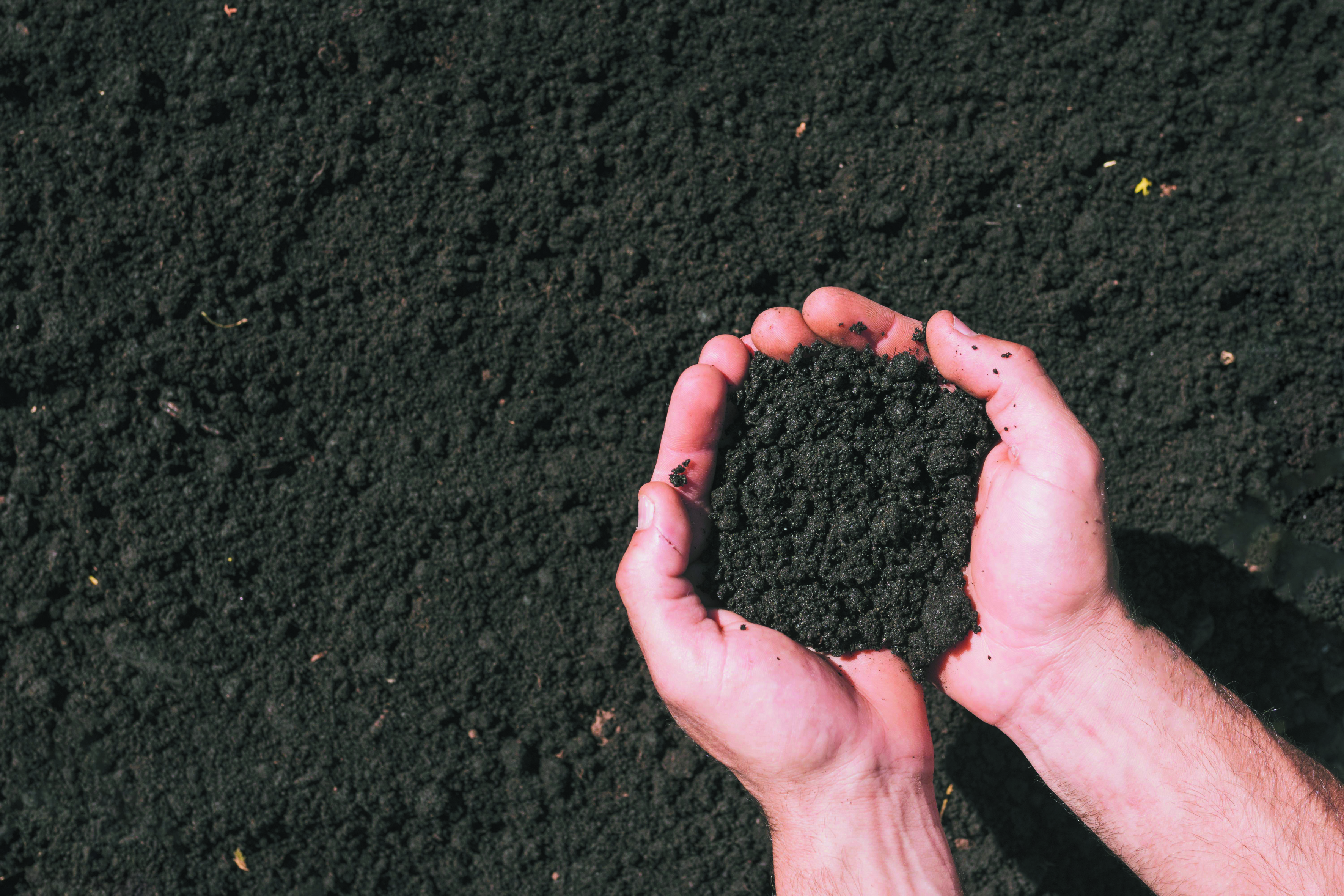 Asid Humik Bertemu Baja Kimia - Agrimag
