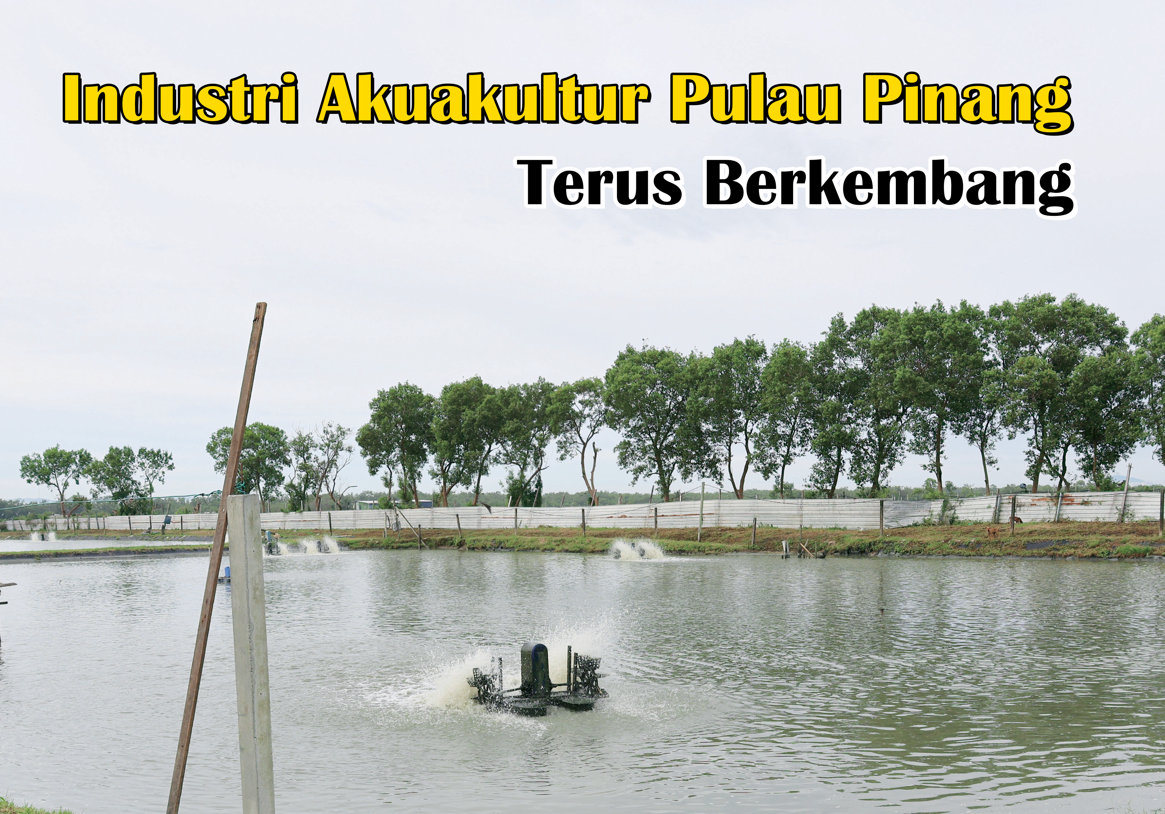 Industri Akuakultur Pulau Pinang Terus Berkembang - Agrimag