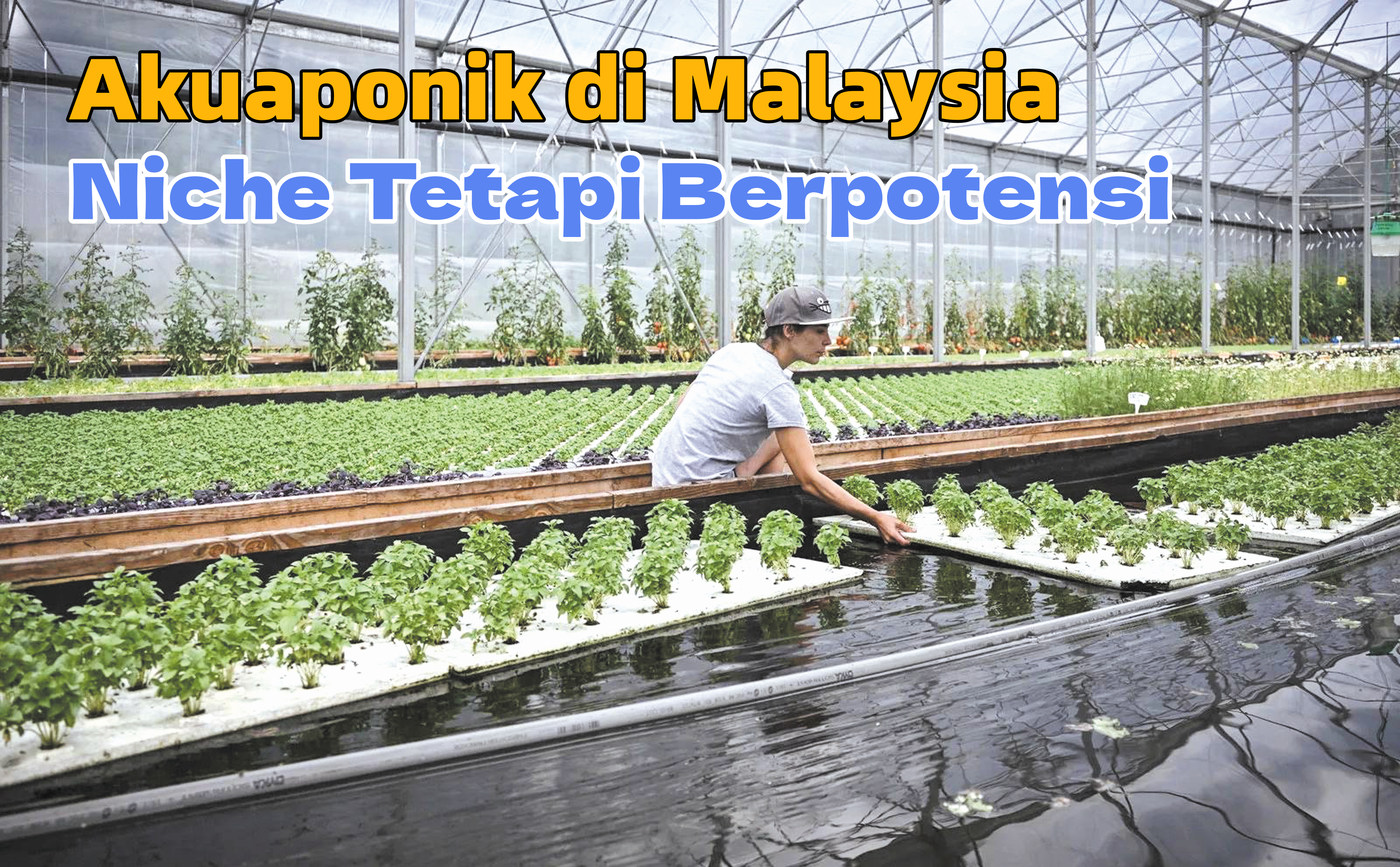 Akuaponik di Malaysia Niche Tetapi Berpotensi - Agrimag