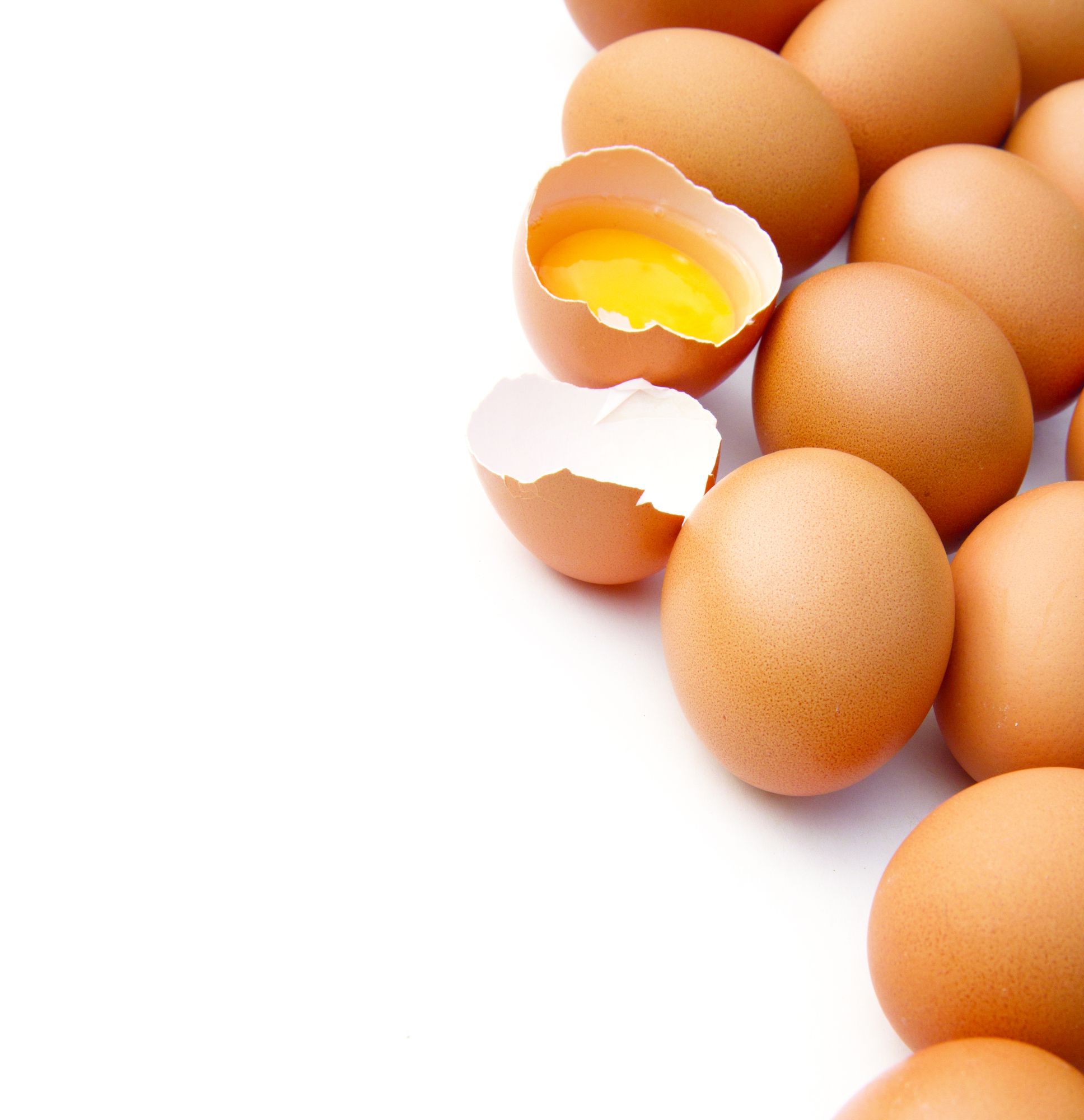 Berhenti Import Telur dari Thailand & India - Agrimag