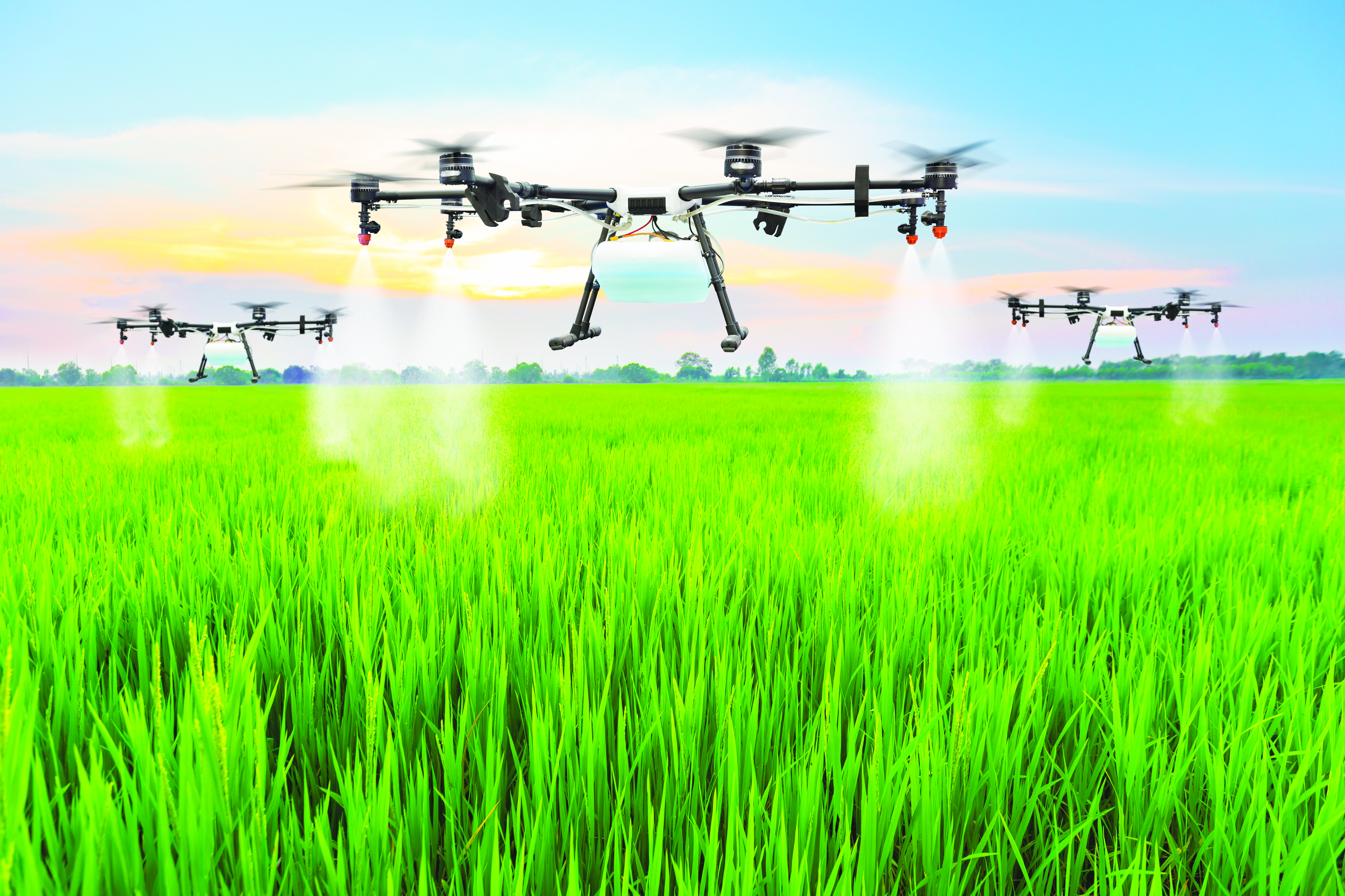 Pasaran Baja Malaysia 2025: Peluang dan Cabaran - Agrimag