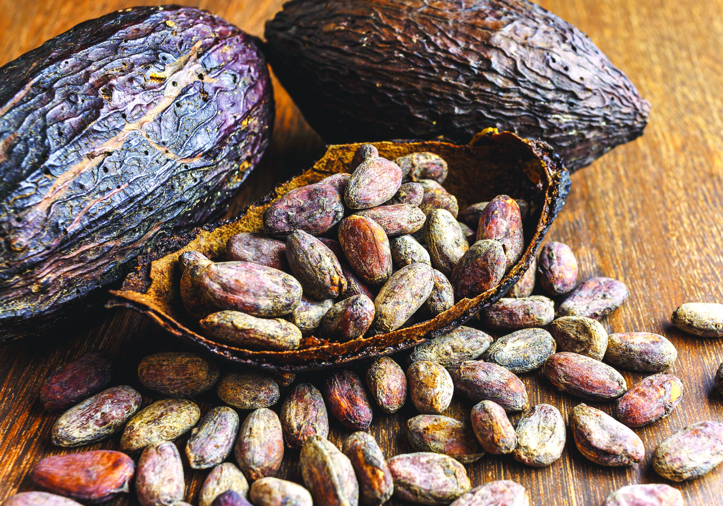Perkembangan dan Inovasi Industri Koko - Agrimag
