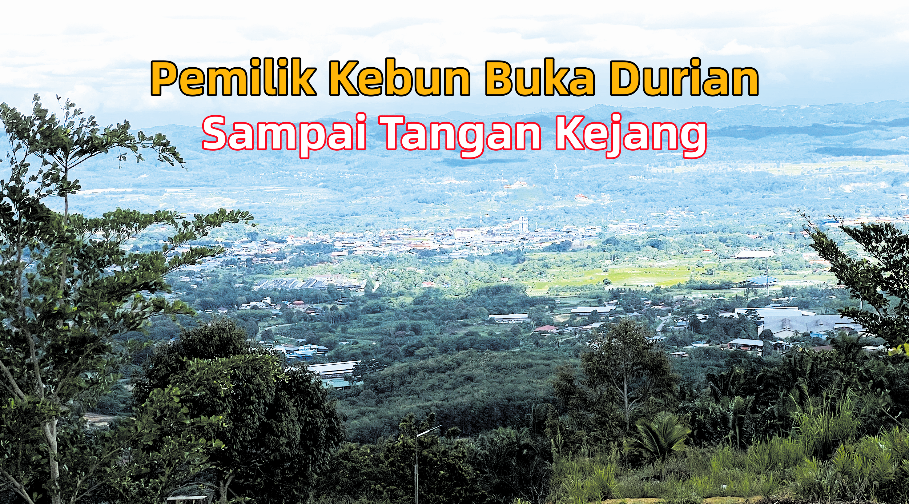 Pemilik Kebun Buka Durian Sampai Tangan Kejang - Agrimag