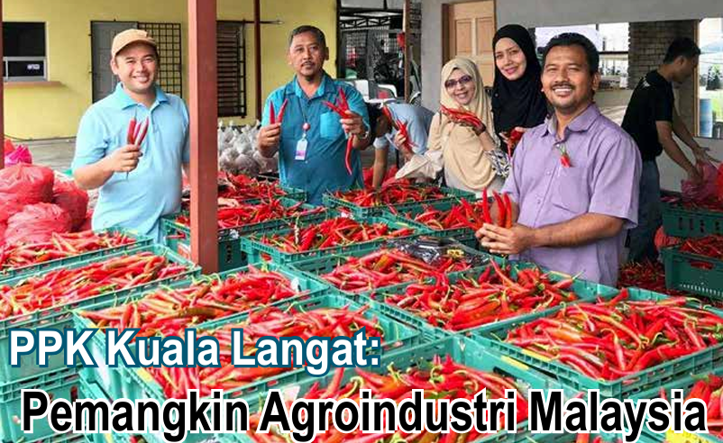 PPK Kuala Langat: Pemangkin Agroindustri Malaysia - Agrimag