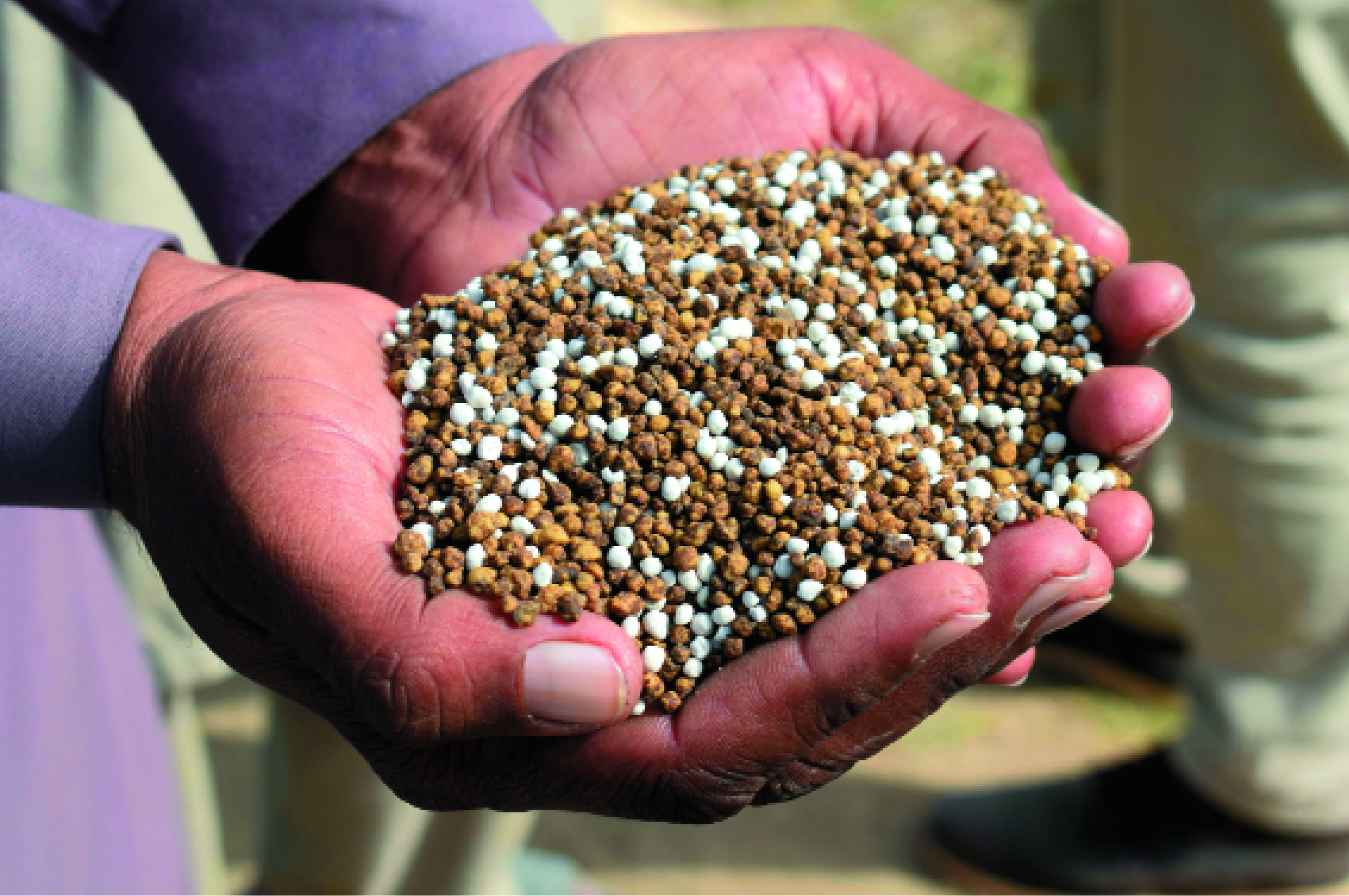 Tiga Tren Baharu Aditif Makanan Ternakan Global - Agrimag