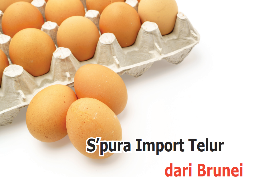 Singapura Import Telur dari Brunei - Agrimag