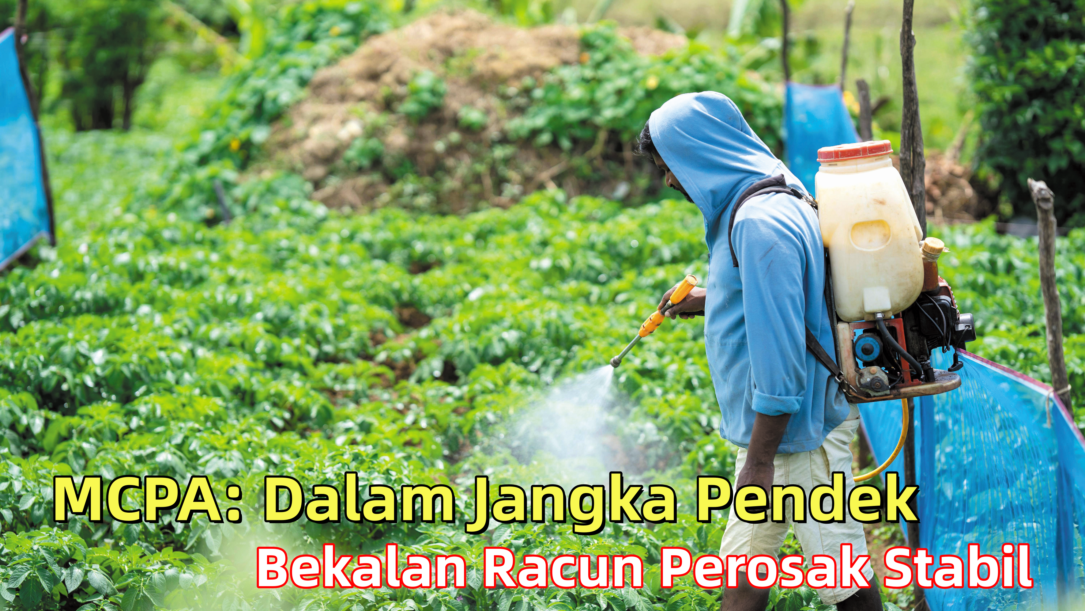 MCPA: Dalam Jangka Pendek Bekalan Racun Perosak Stabil - Agrimag