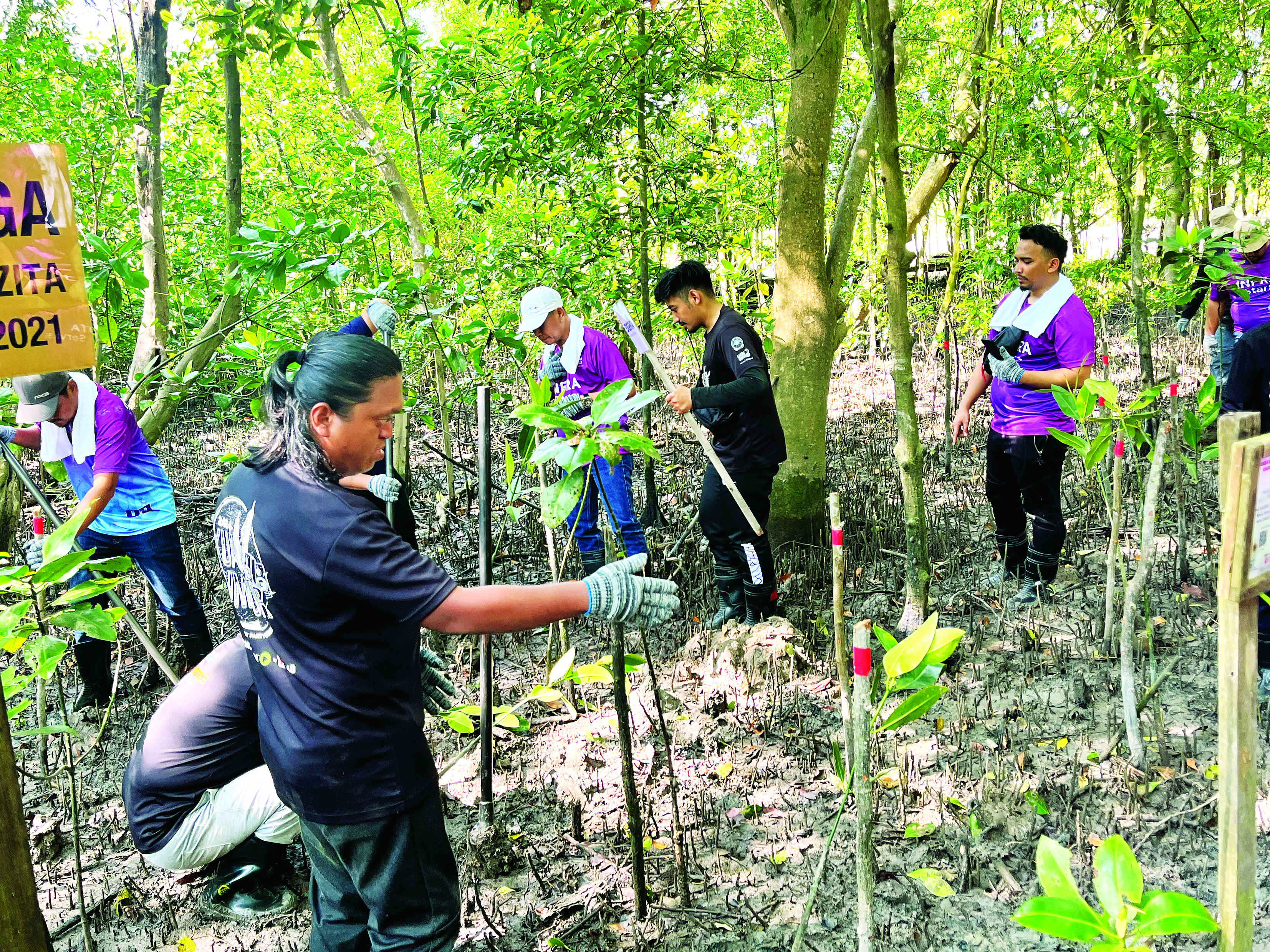 Kelestarian Paya Bakau Melalui Aplikasi Pemantauan IoT - Agrimag