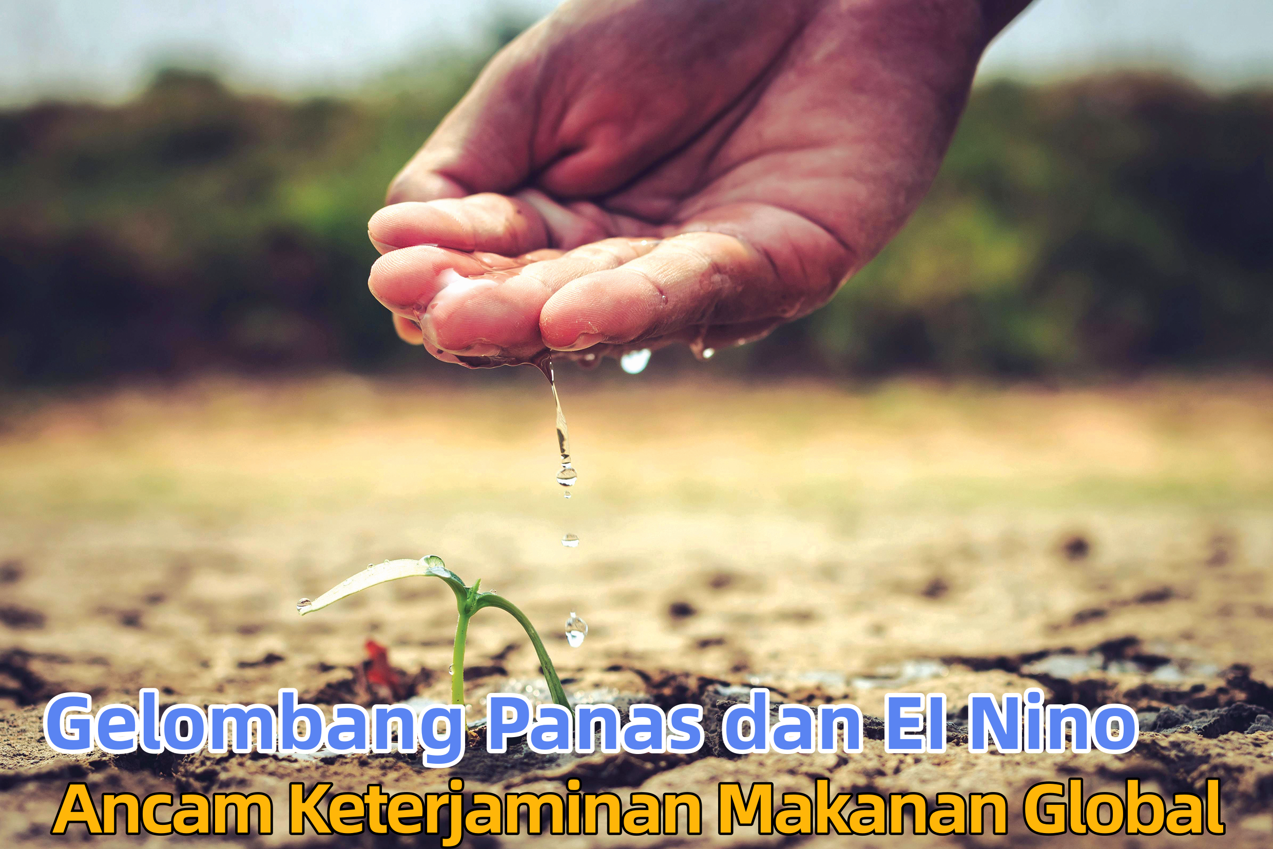 Gelombang Panas dan EI Nino Ancam Keterjaminan Makanan Global - Agrimag