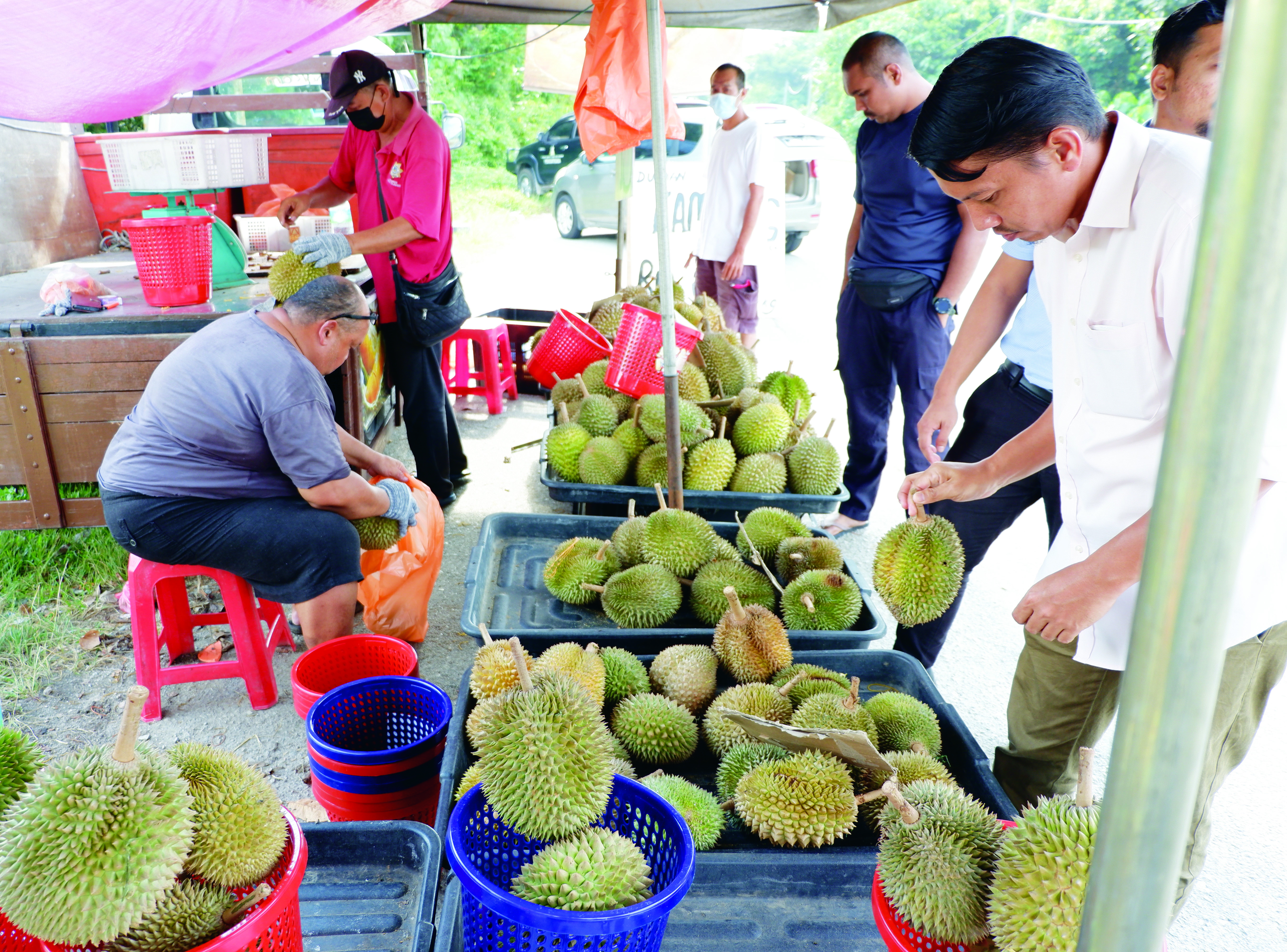 Gerai Durian Bergerak Semakin Baik - Agrimag