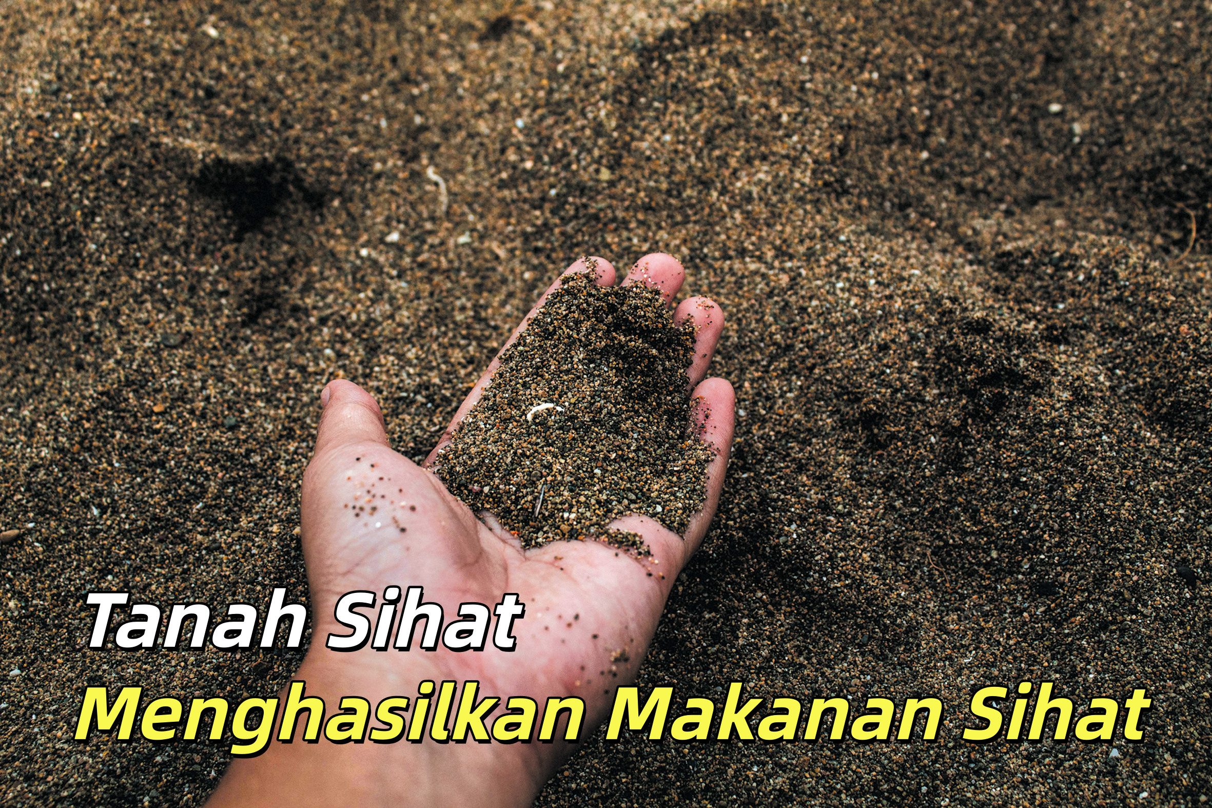 Tanah Sihat Menghasilkan Makanan Sihat - Agrimag