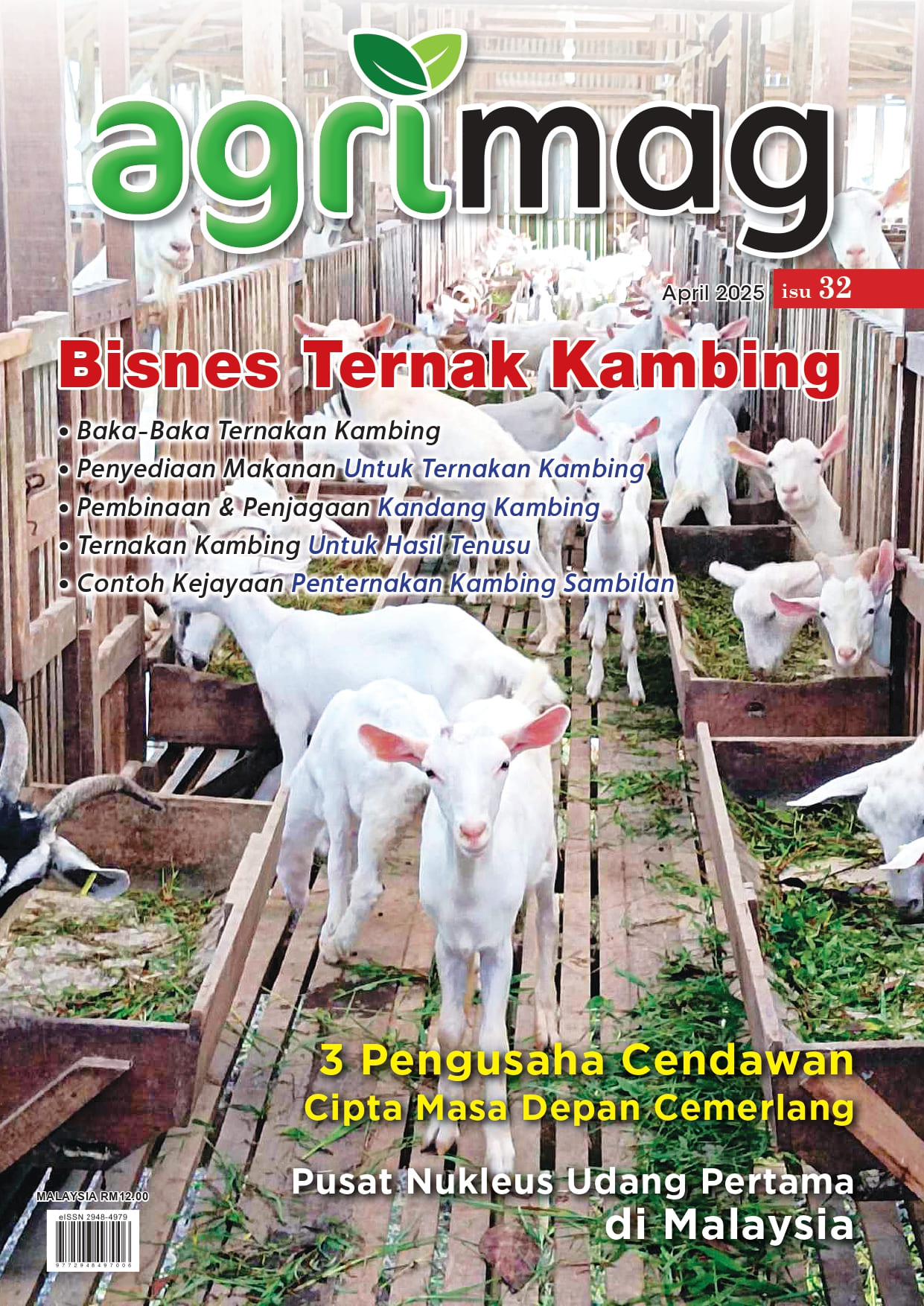 Bisnes Ternak Kambing (32) - Agrimag