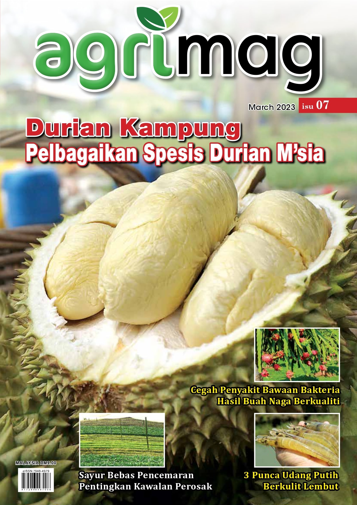 Durian Kampung Pelbagaikan Spesis Durian M’sia (07) - Agrimag