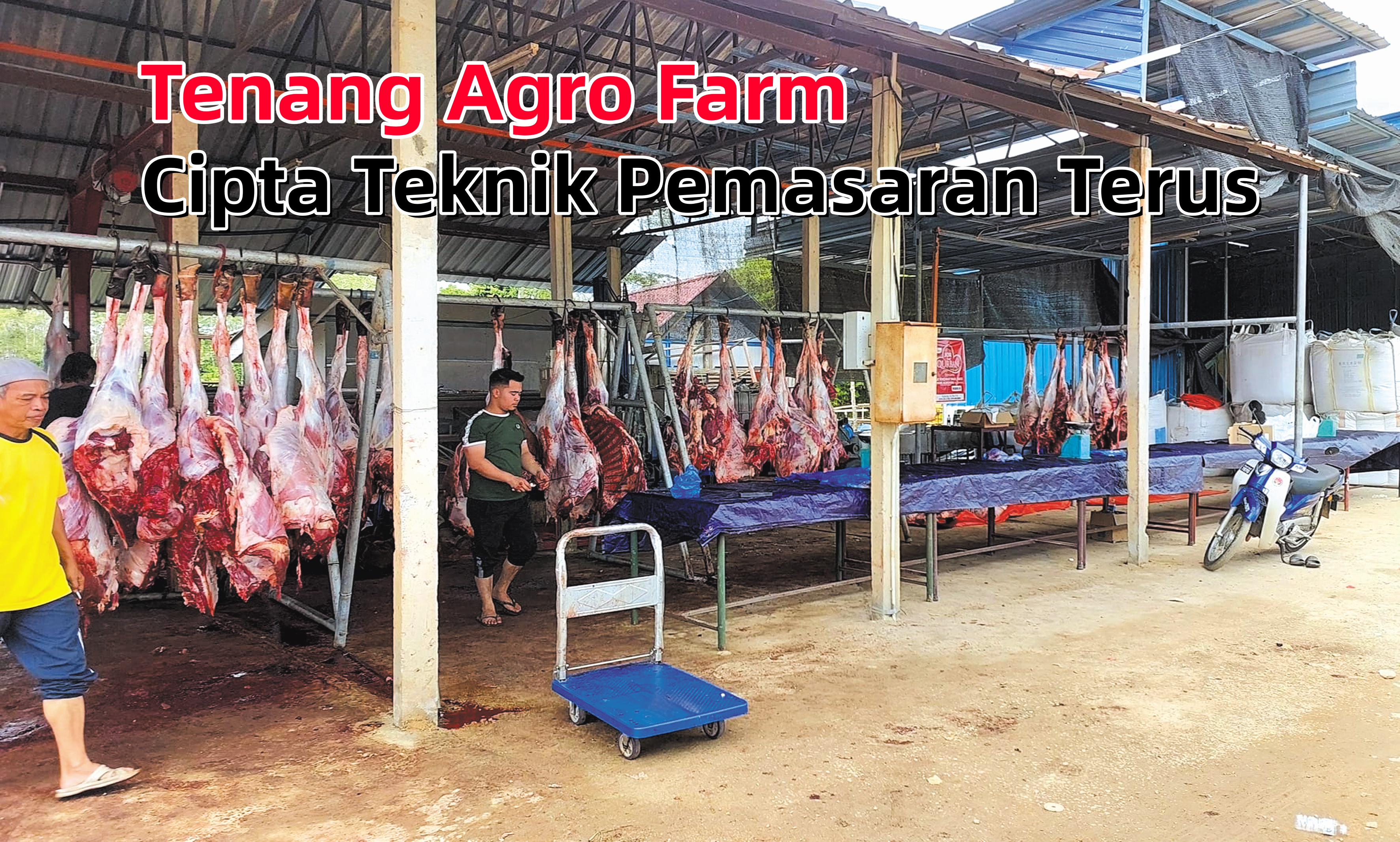 Tenang Agro Farm Cipta Teknik Pemasaran Terus - Agrimag