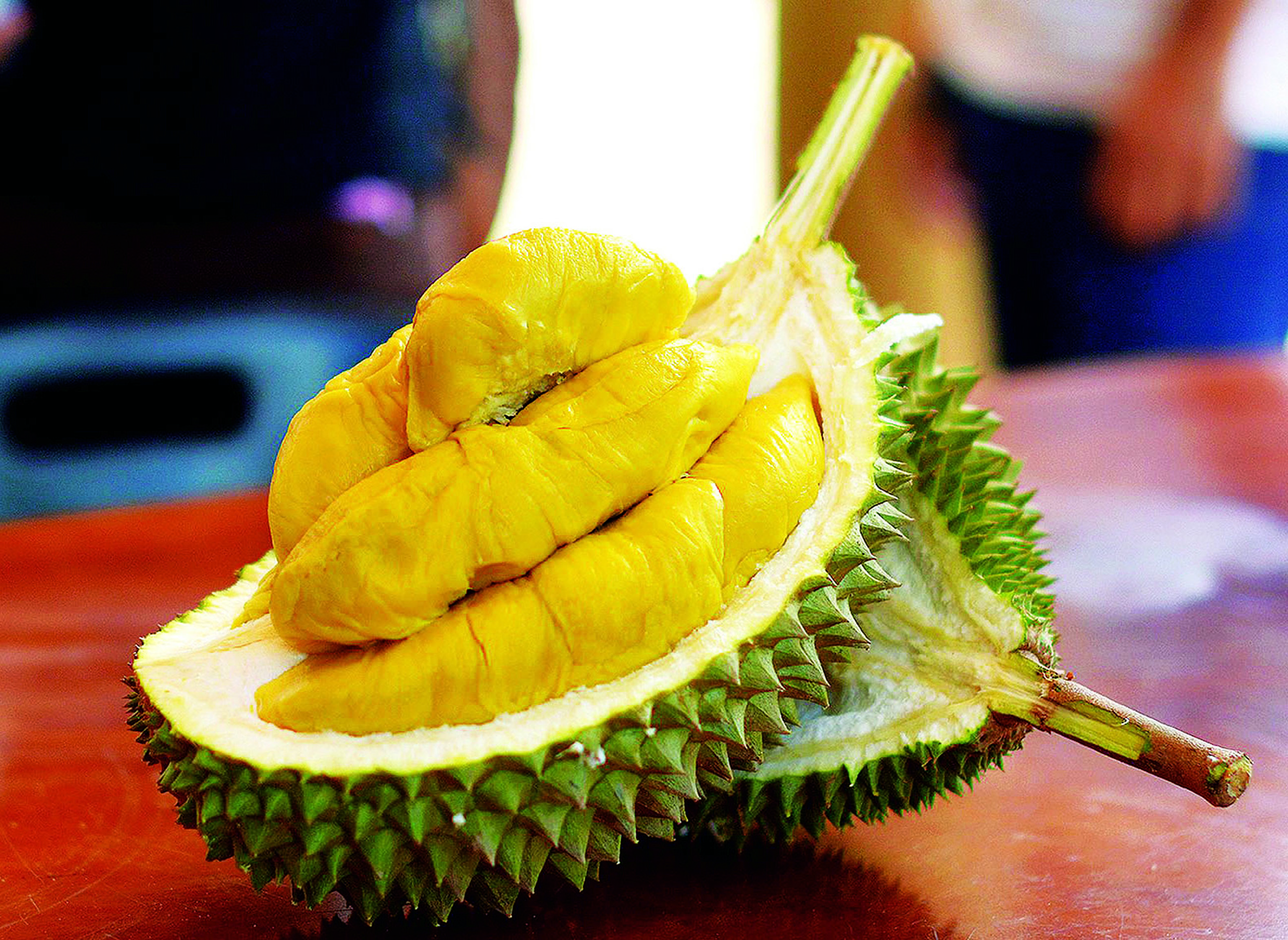 Kenali Varieti Durian Klasik Thailand - Agrimag