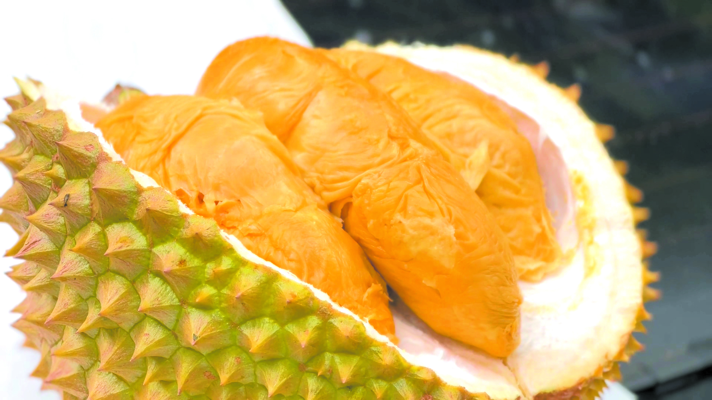 Durian Tok Hussin: Rasa Warisan Diiktiraf - Agrimag