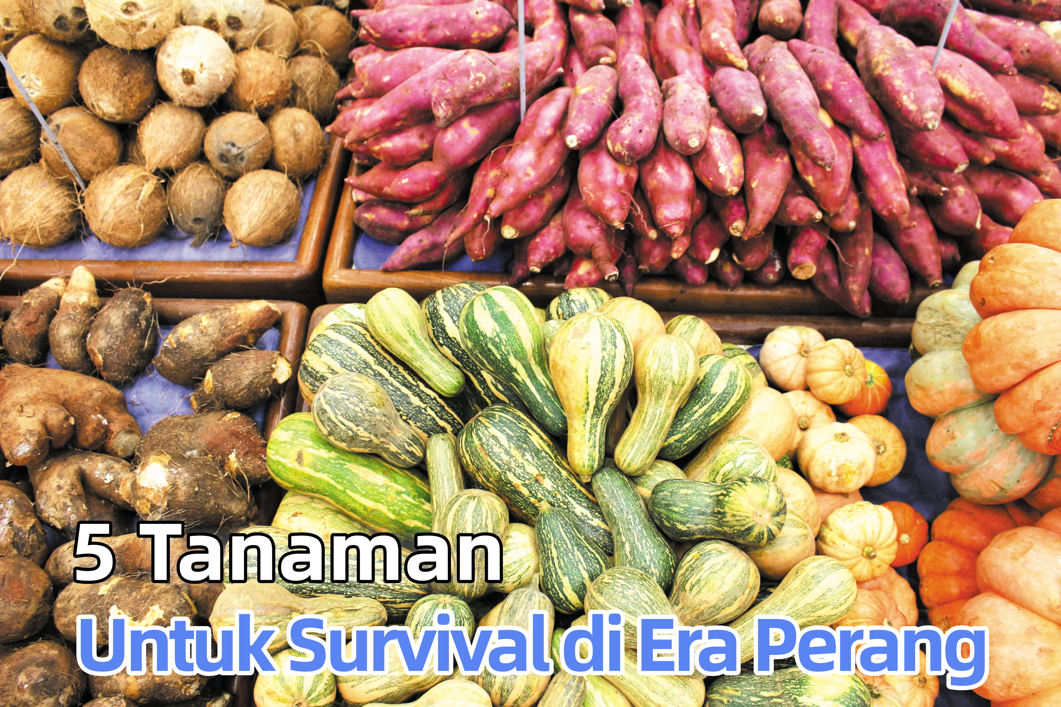 5 Tanaman Untuk Survical di Era Perang - Agrimag