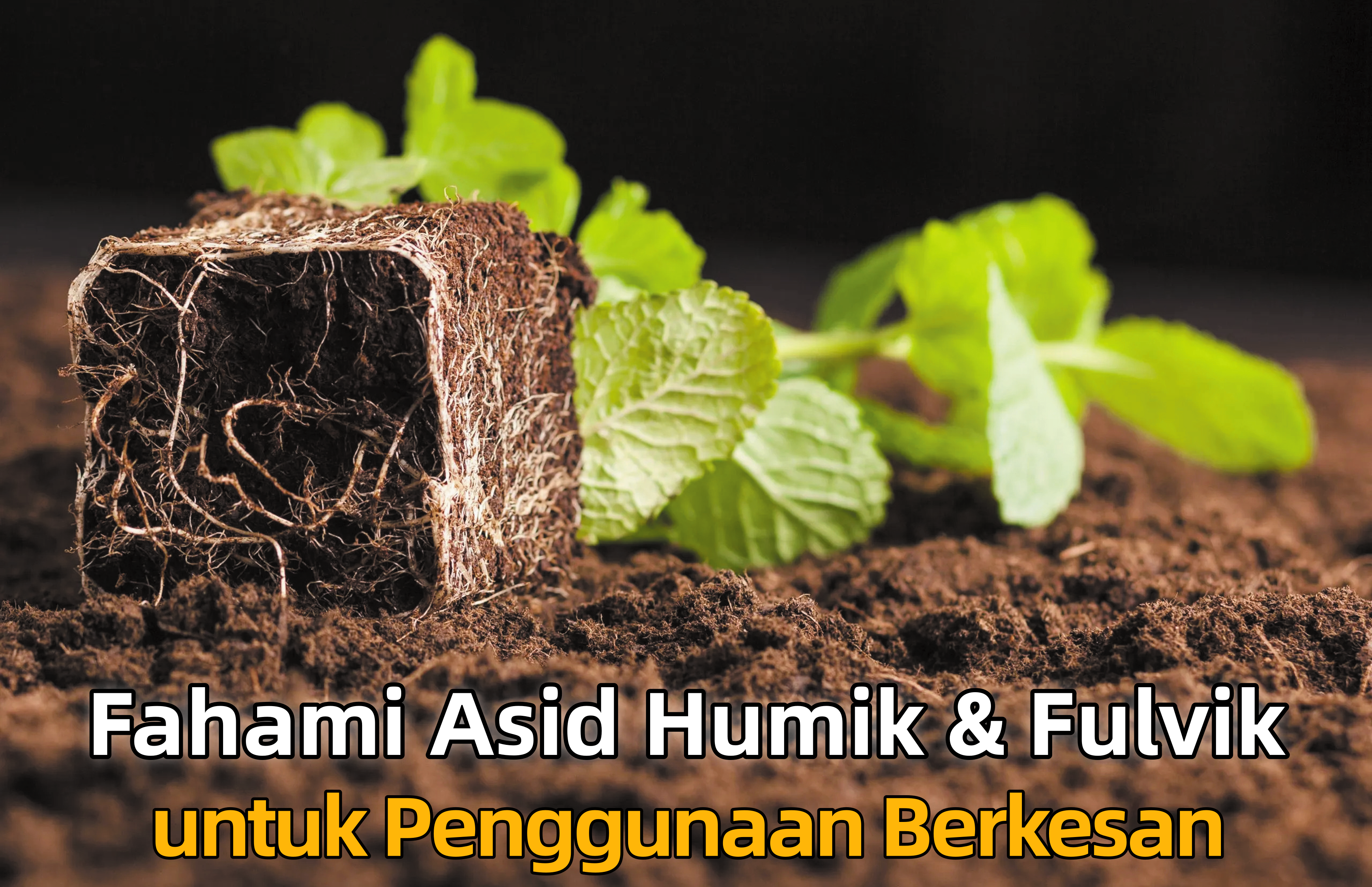 Fahami Asid Humik & Fulvik untuk Penggunaan Berkesan - Agrimag