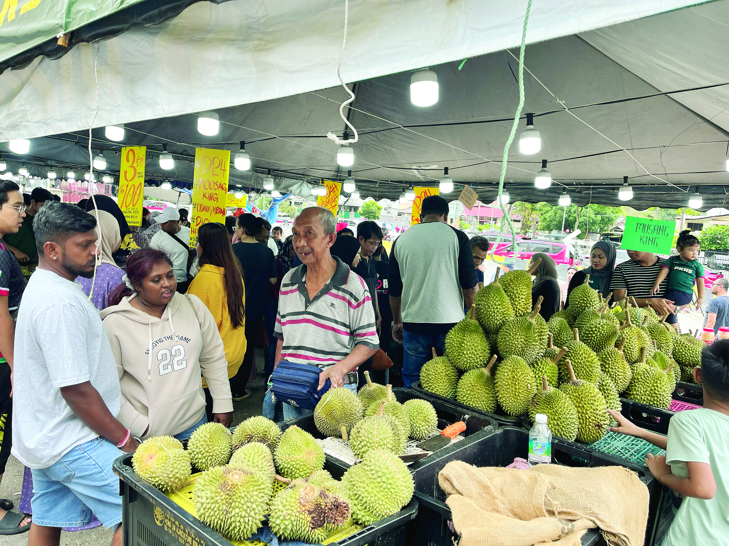 Situasi Penjajaan Durian Pada Musim Kemuncak - Agrimag