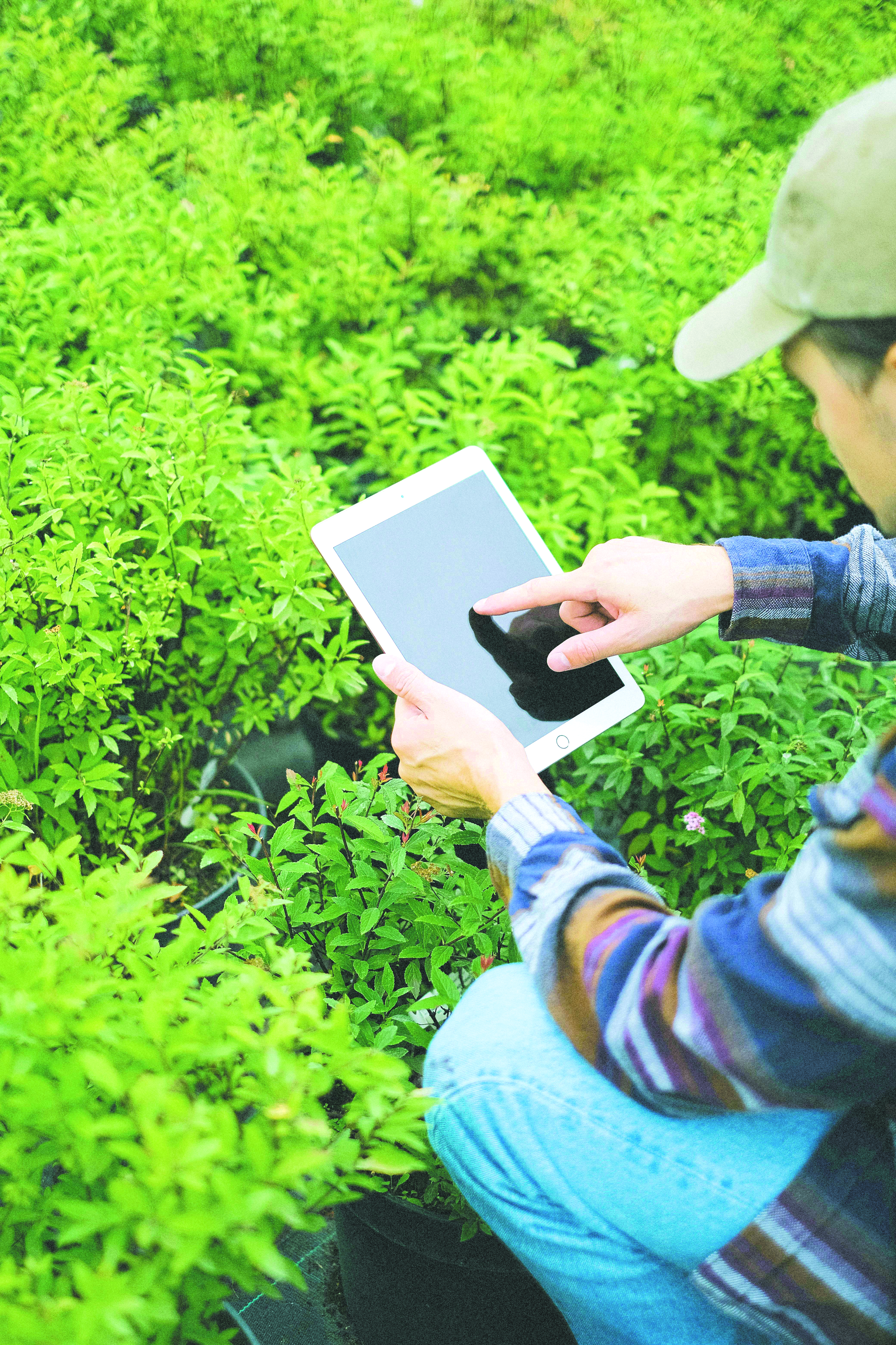 Pekebun Kecil Pintar Atasi Cabaran dengan Teknologi - Agrimag