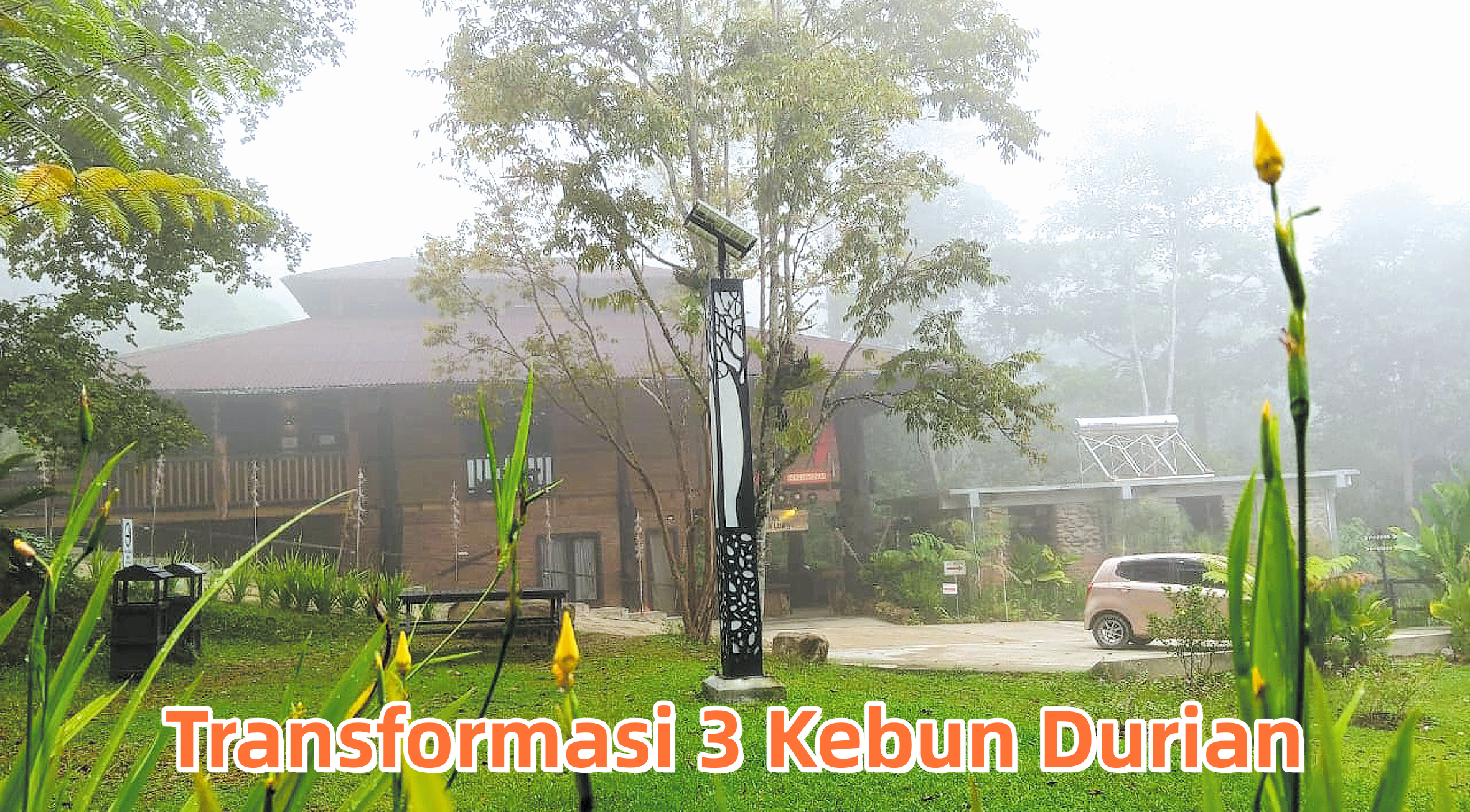Transformasi 3 Kebun Durian - Agrimag