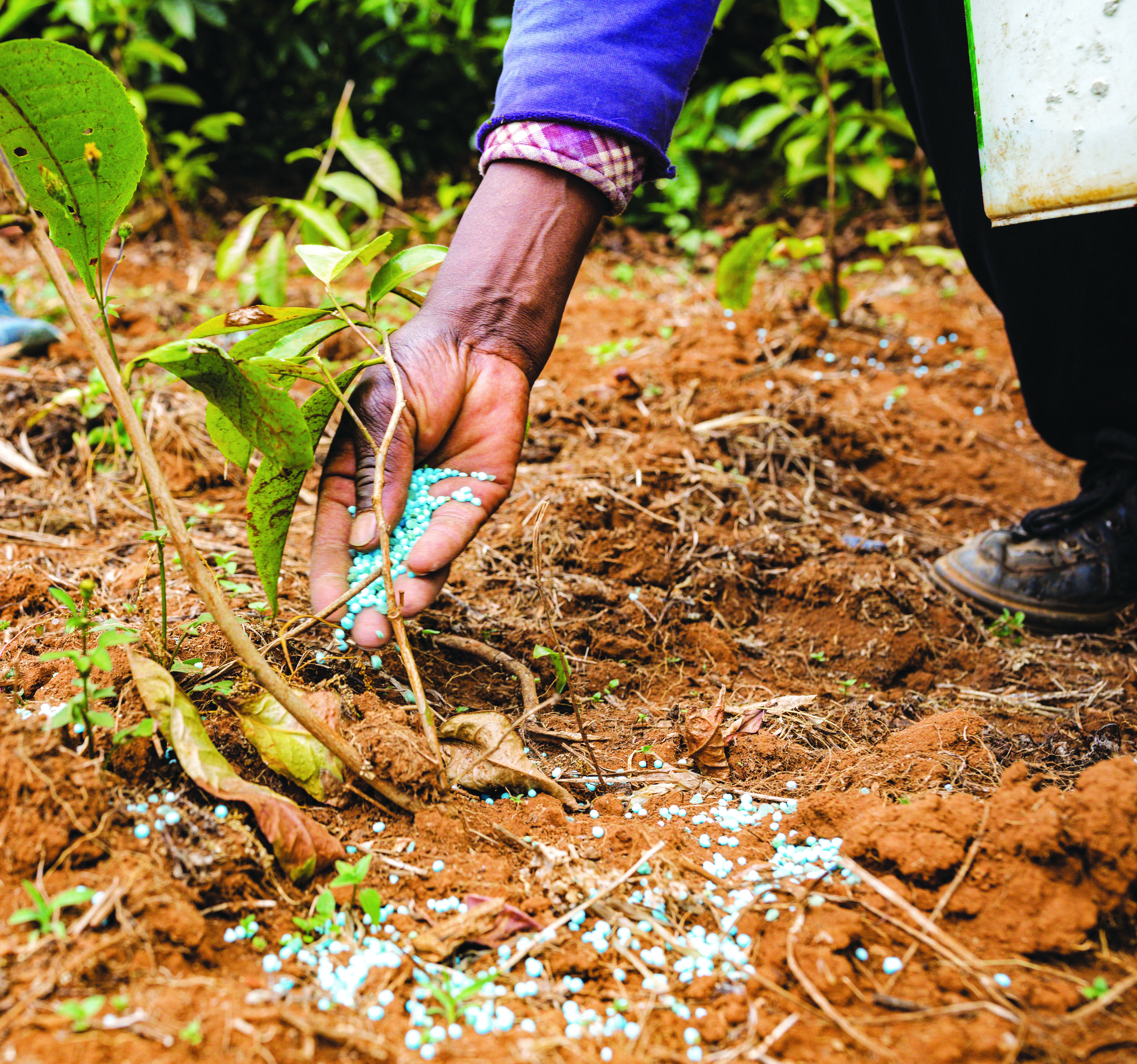 Bentuk Nitrogen Dalam Baja Nitro - Agrimag