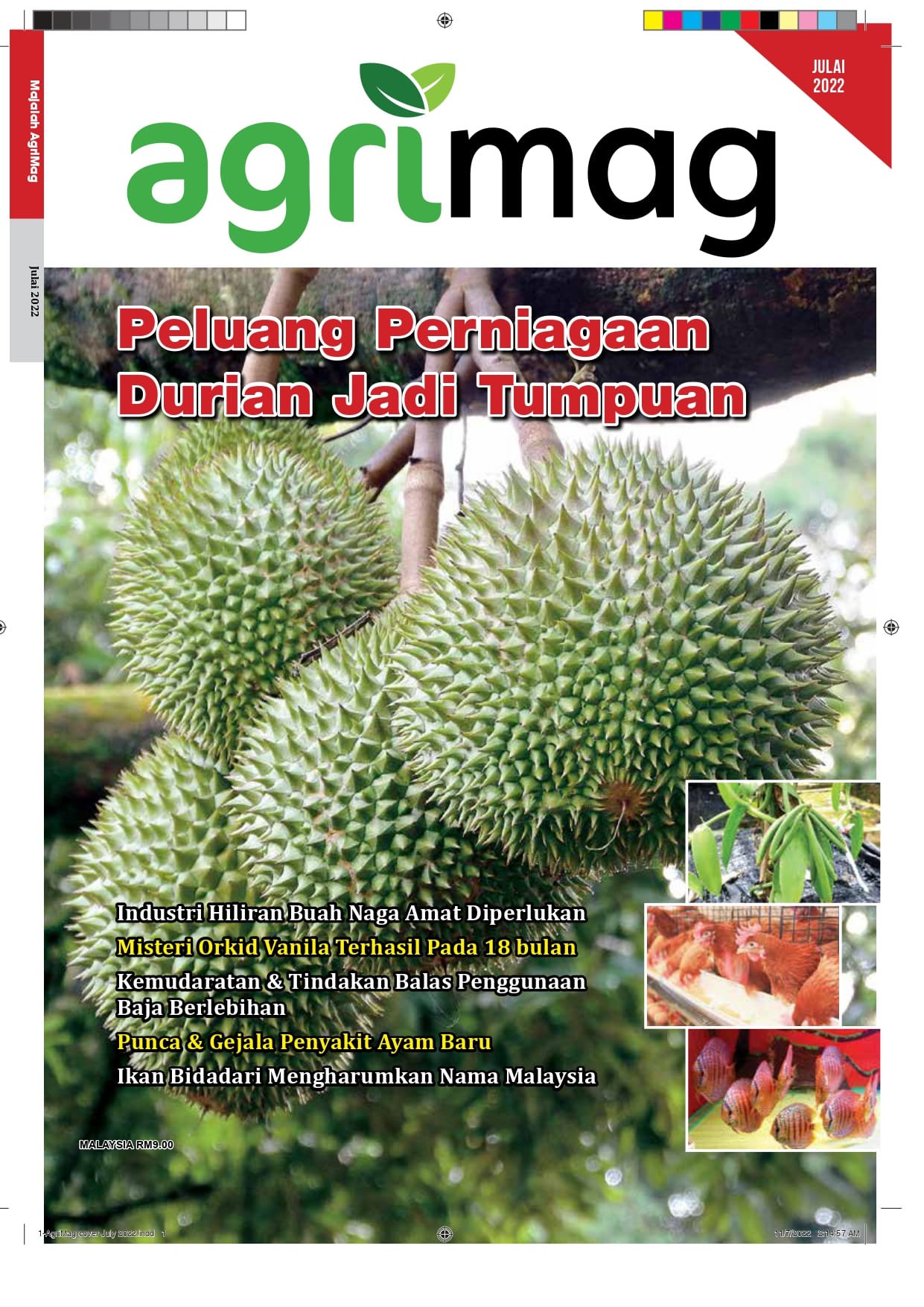 Peluang Perniagaan Durian Jadi Tumpuan - Agrimag