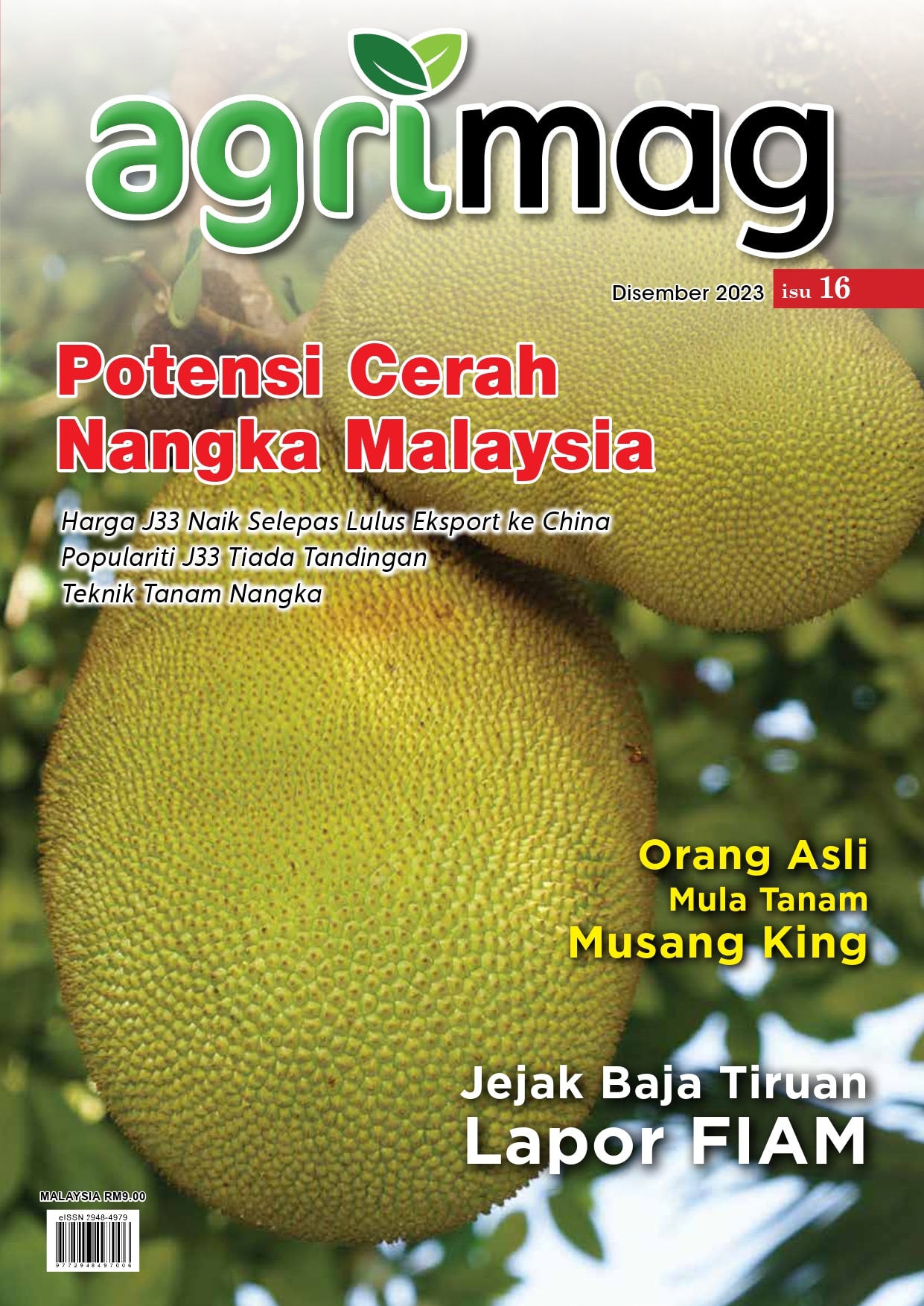 Potensi Cerah Nangka Malaysia(16) - Agrimag