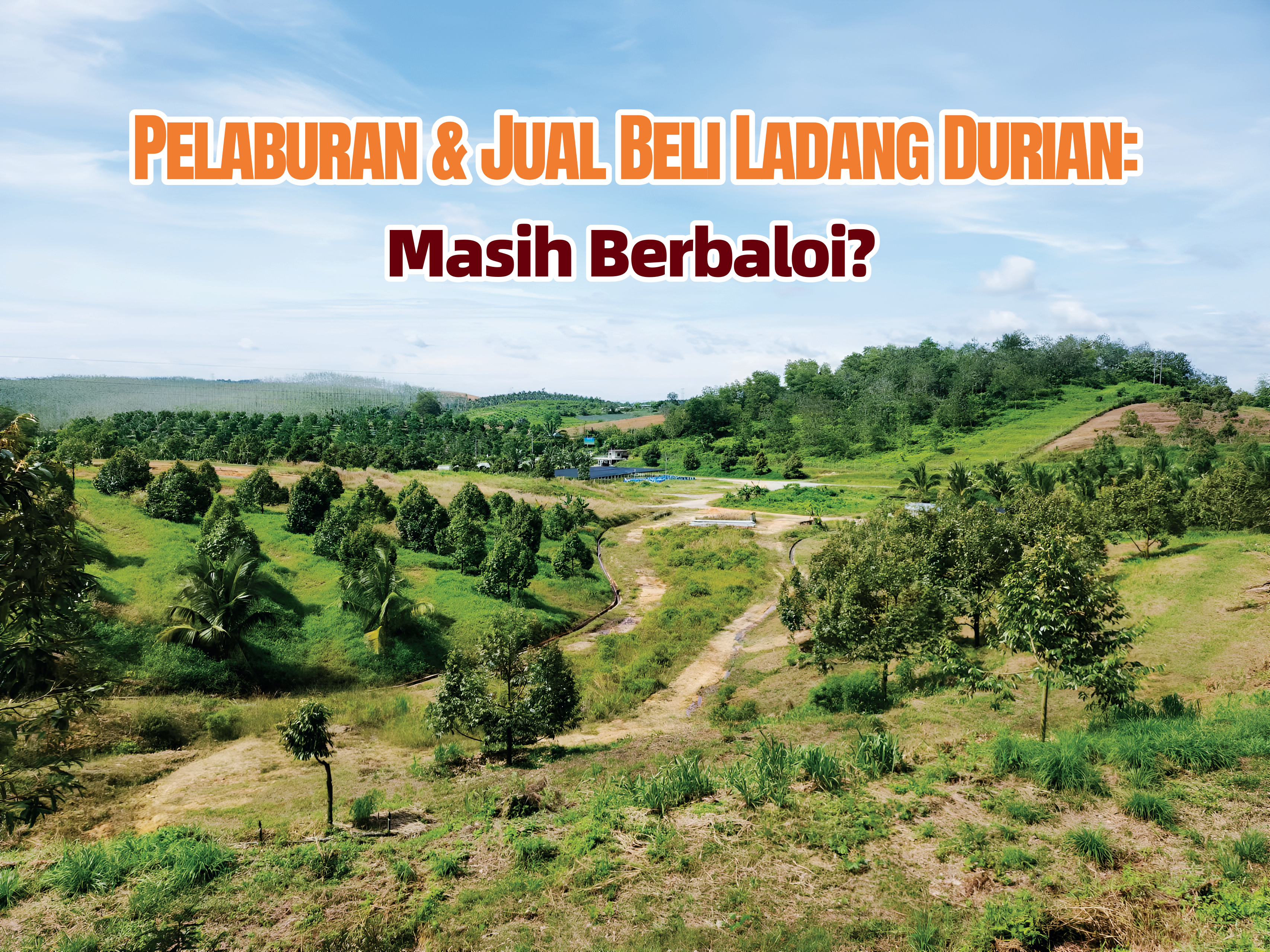 Pelaburan & Jual Beli Ladang Durian: Masih Berbaloi? - Agrimag