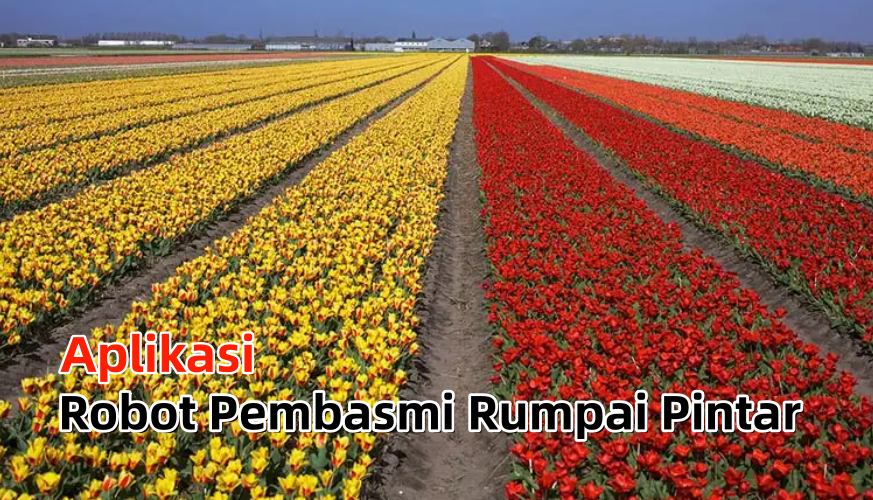 Aplikasi Robot Pembasmi Rumpai Pintar - Agrimag