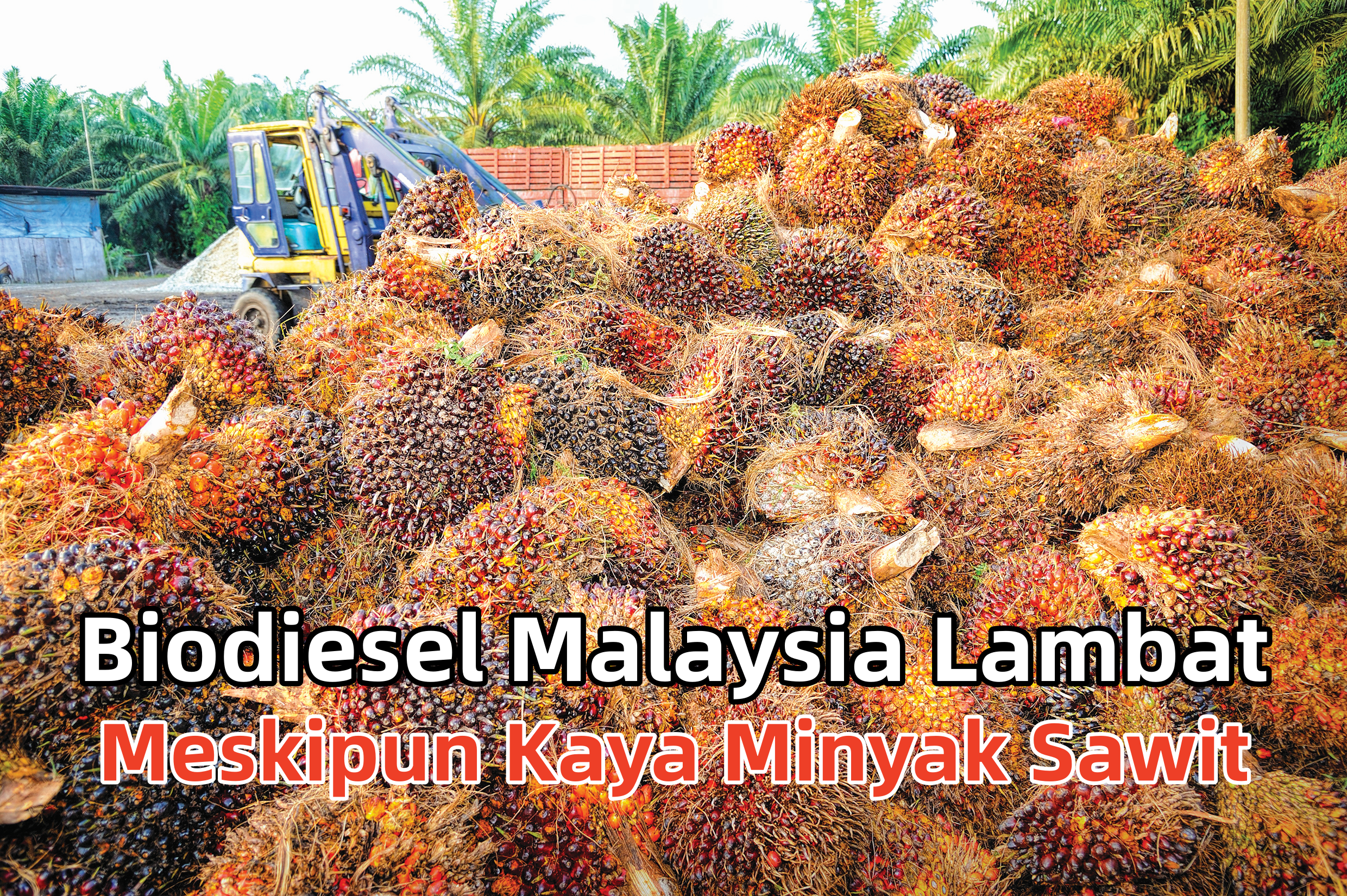 Biodiesel Malaysia Lambat Meskipun Kaya Minyak Sawit - Agrimag