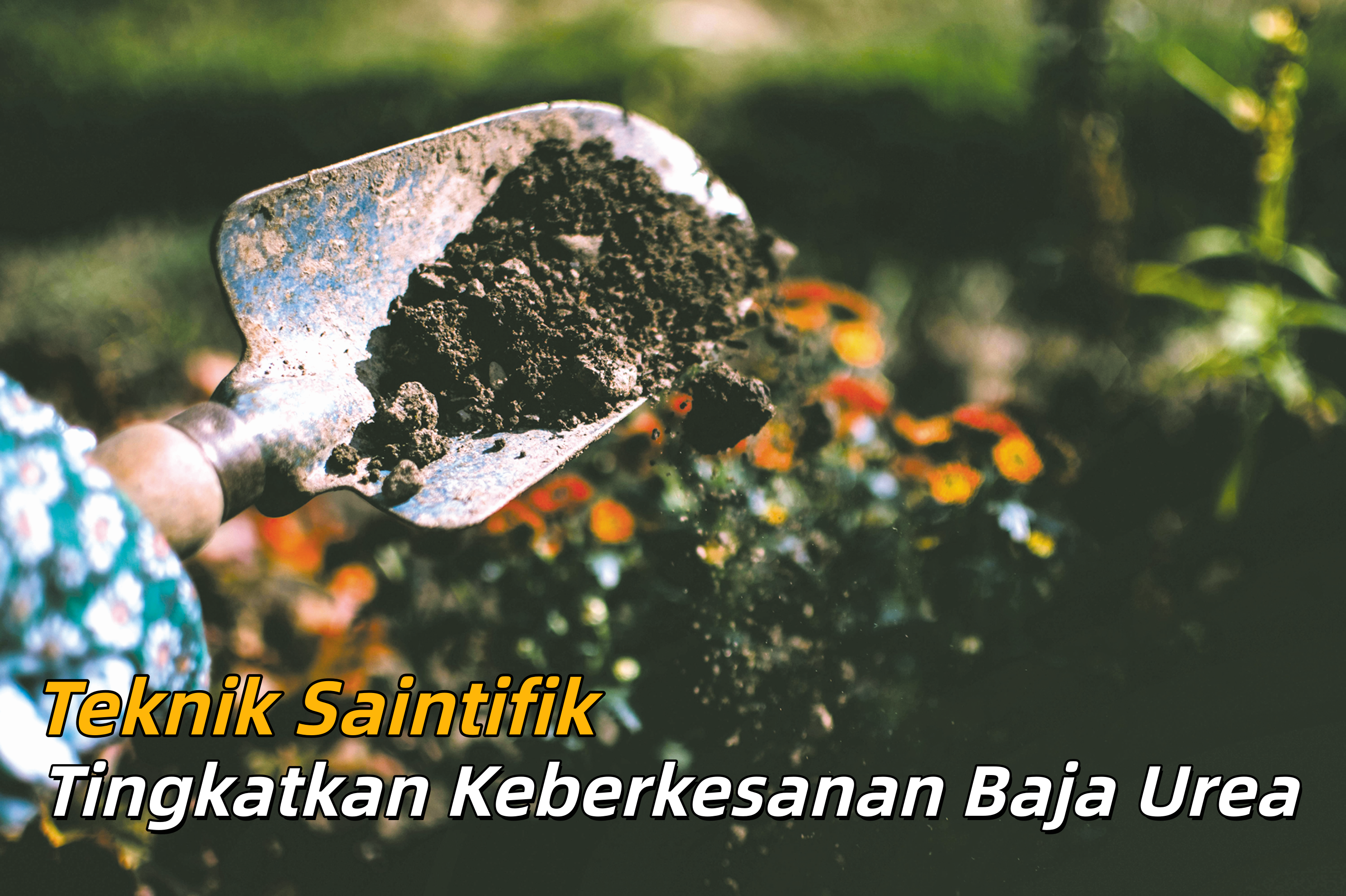 Teknik Saintifik Tingkatkan Keberkesanan Baja Urea - Agrimag