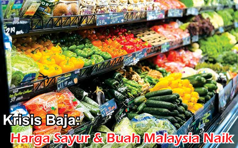Krisis Baja: Harga Sayur & Buah Malaysia Naik - Agrimag