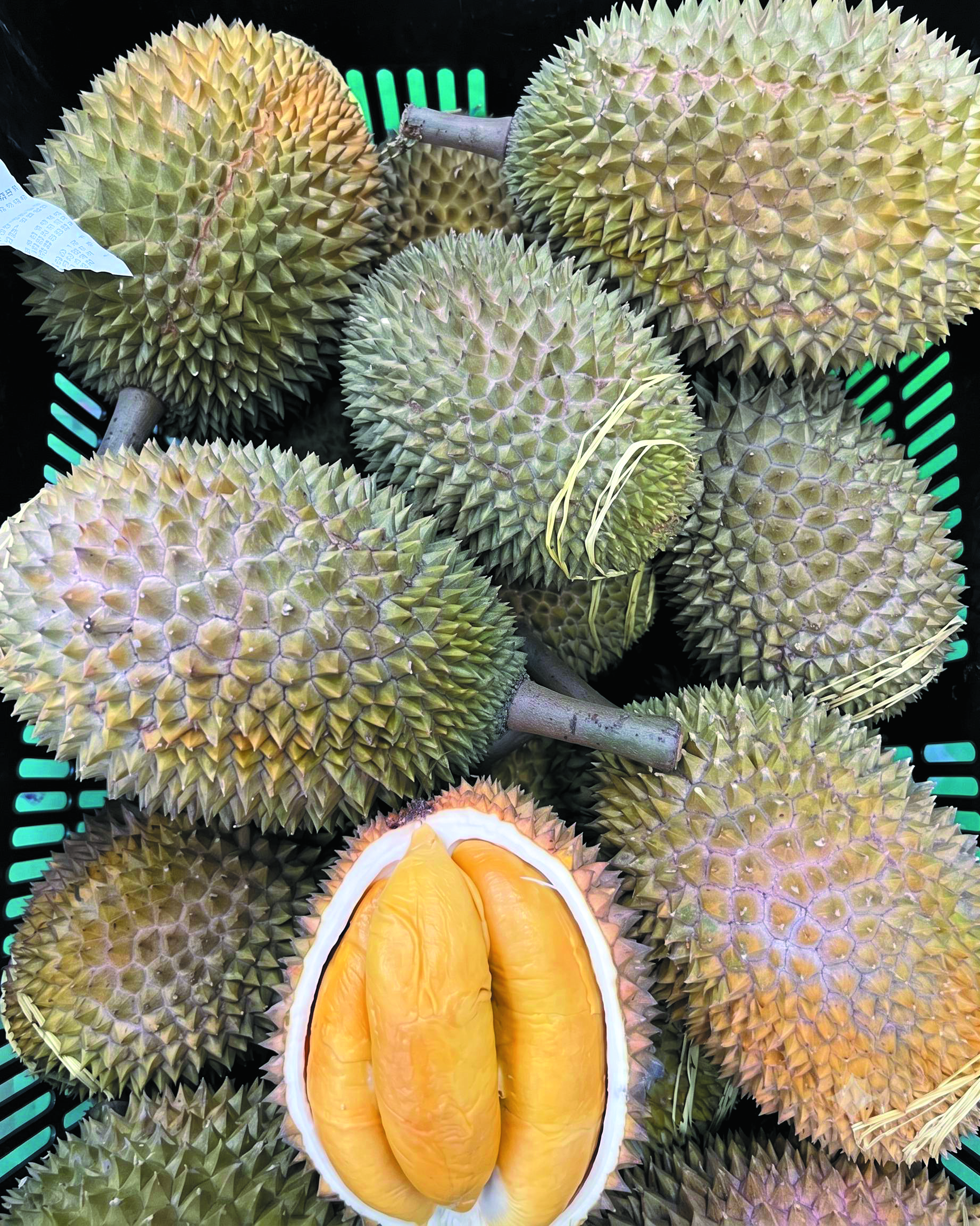 Penyelamat atau Jerat? - Agrimag