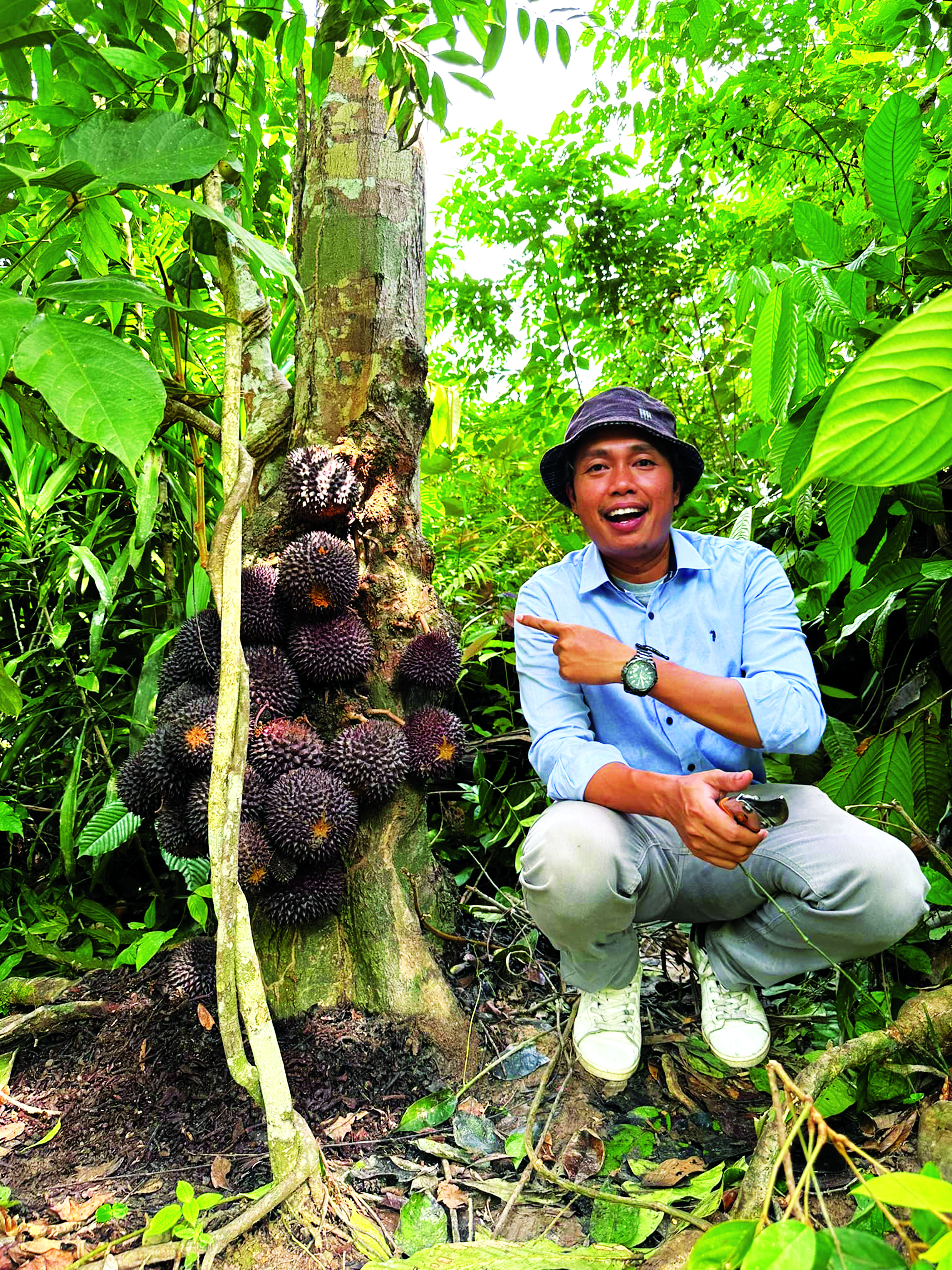 Durian Kura-kura Pahang - Agrimag