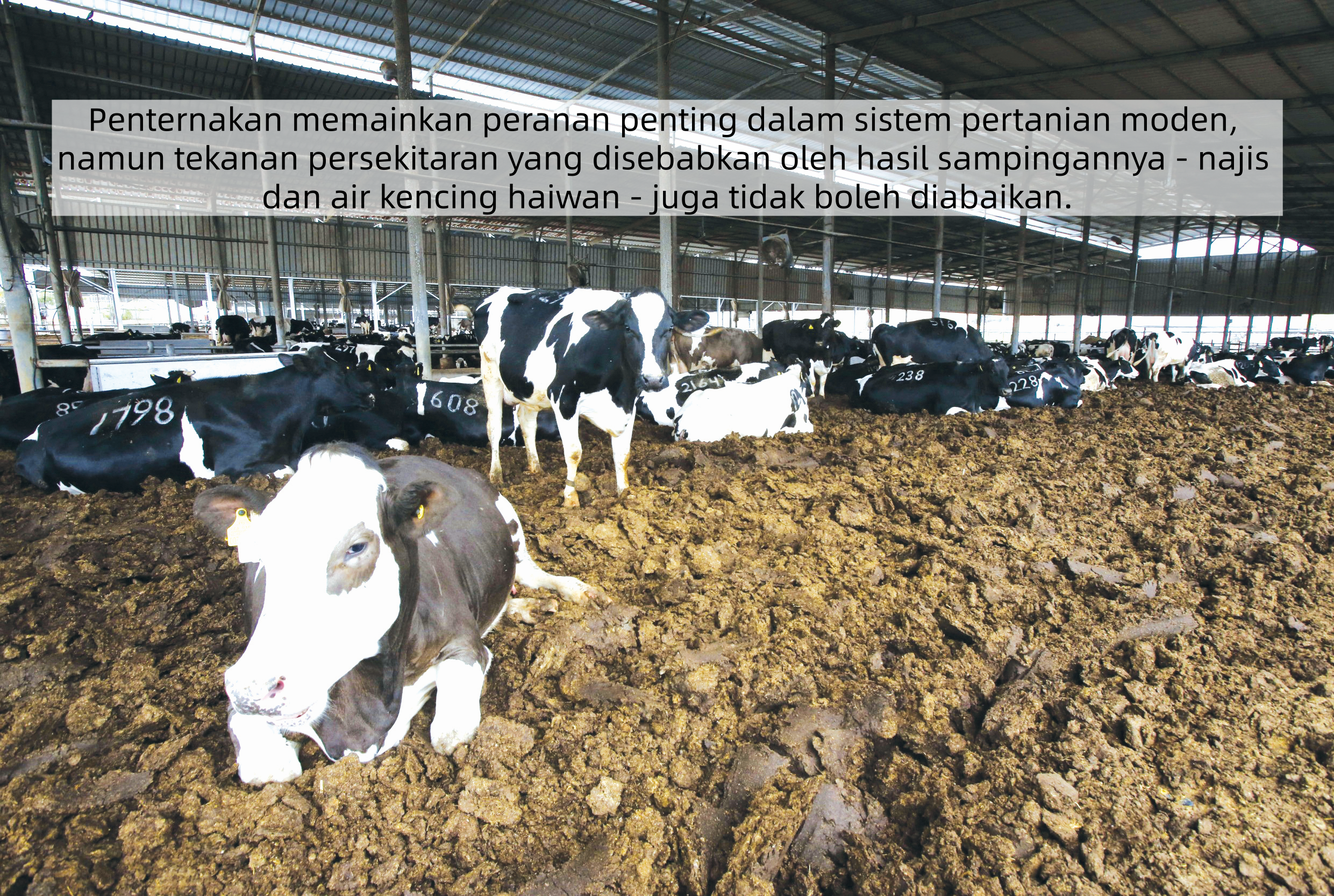 Pemanfaatan Biogas dalam Pertanian Hijau - Agrimag