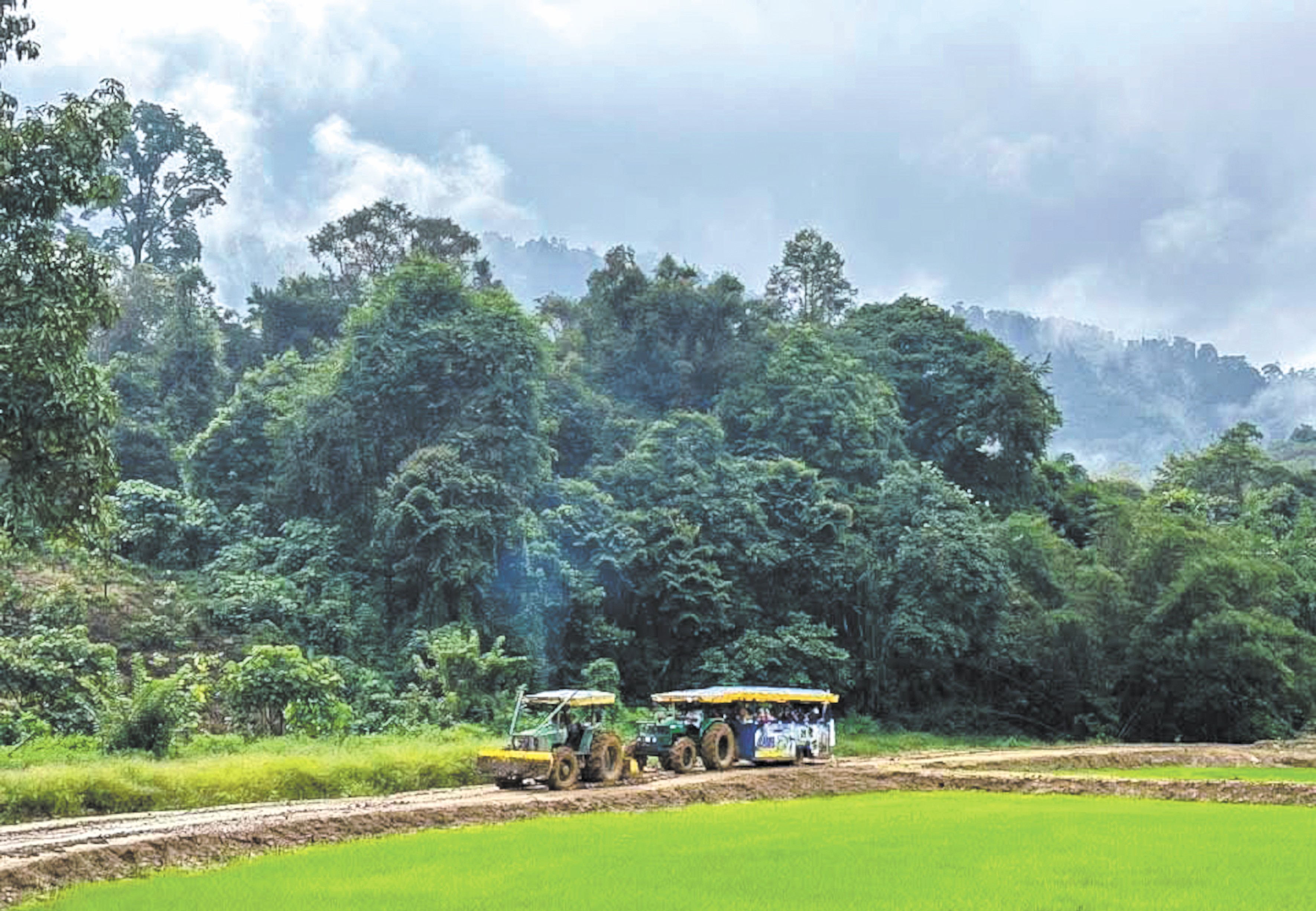 Projek Sawah Padi Kampung Budu Harapan Sekuriti Makanan Pahang - Agrimag